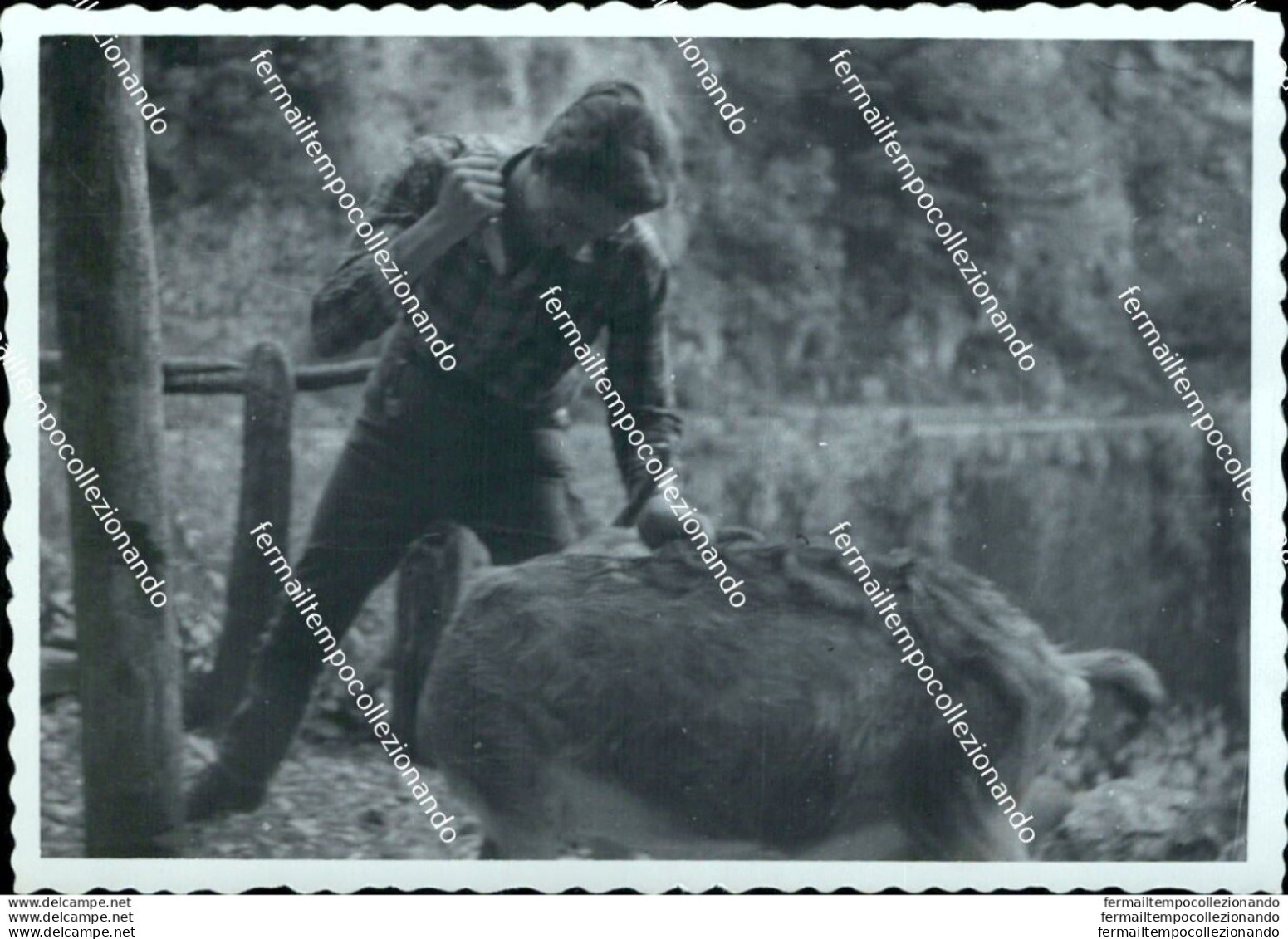 Az704 Foto Privata Equi Terme Frazione Di Di Fivizzano 1954 Massa Carrara - Massa