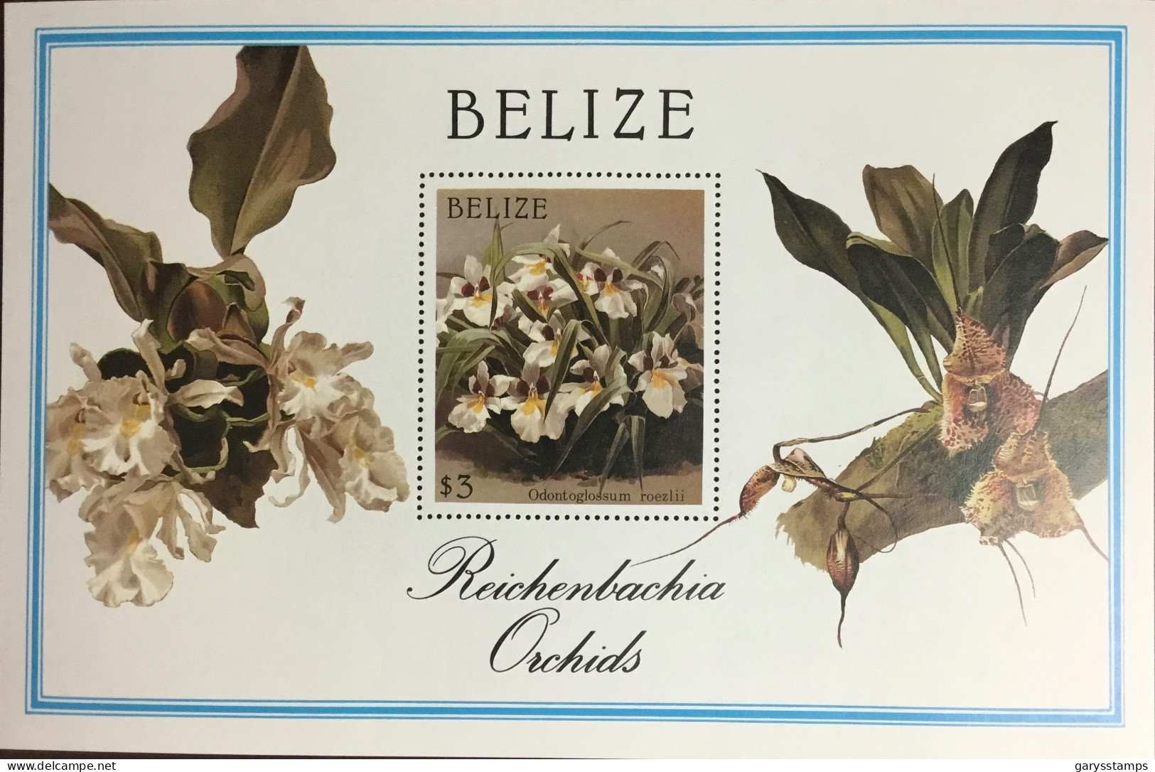 Belize 1987 Reichenbachia Orchids Flowers Minisheet MNH - Orchideen