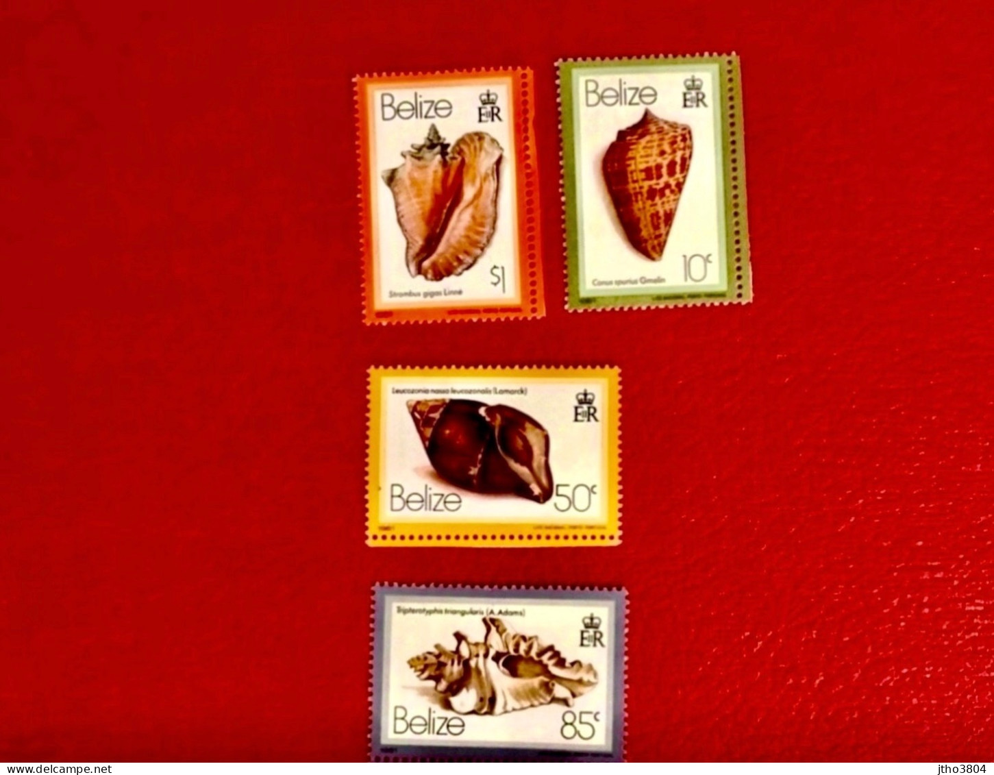 BÉLIZE 1981 Série Complète 4v Millesime 1981 Neuf MNH ** MI 454 YT 455 Conchas Shells Muscheln Conchoglie BELICE - Coquillages