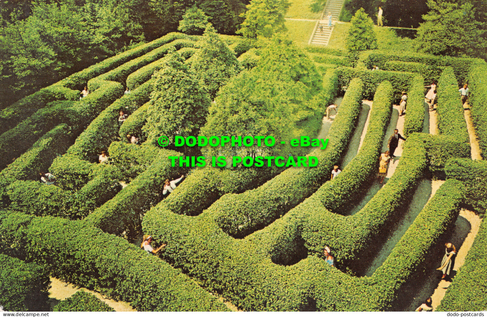 R517780 Virginia. Williamsburg. The Governor Palace Maze. H. S. Crocker. Mirro K - Mundo