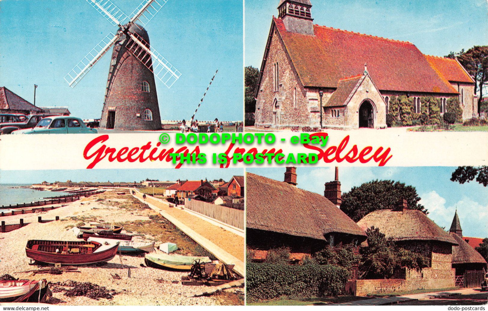 R517790 Greetings From Selsey. C. G. Williams. Plastichrome. Multi View - Monde