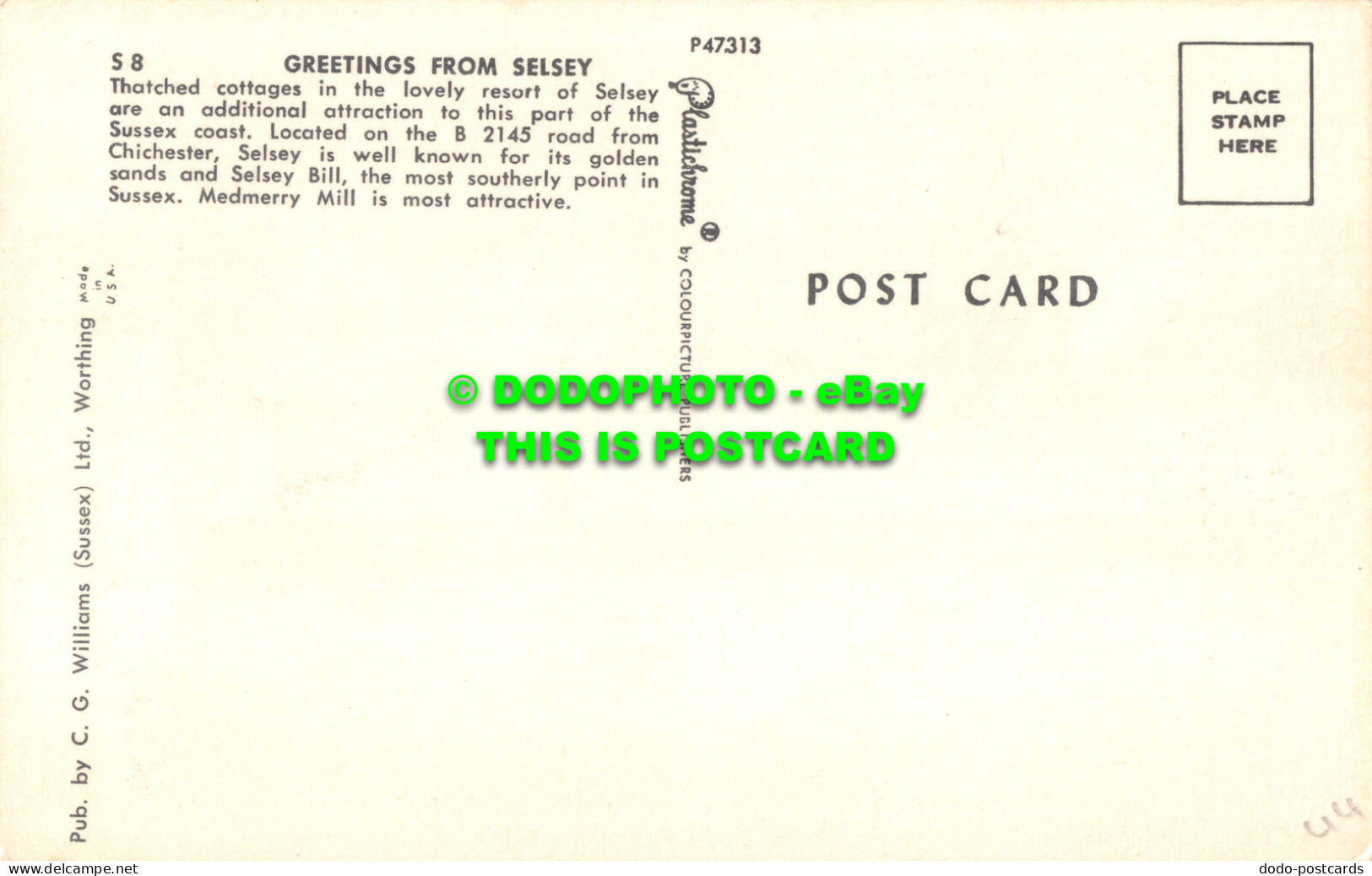 R517790 Greetings From Selsey. C. G. Williams. Plastichrome. Multi View - Monde