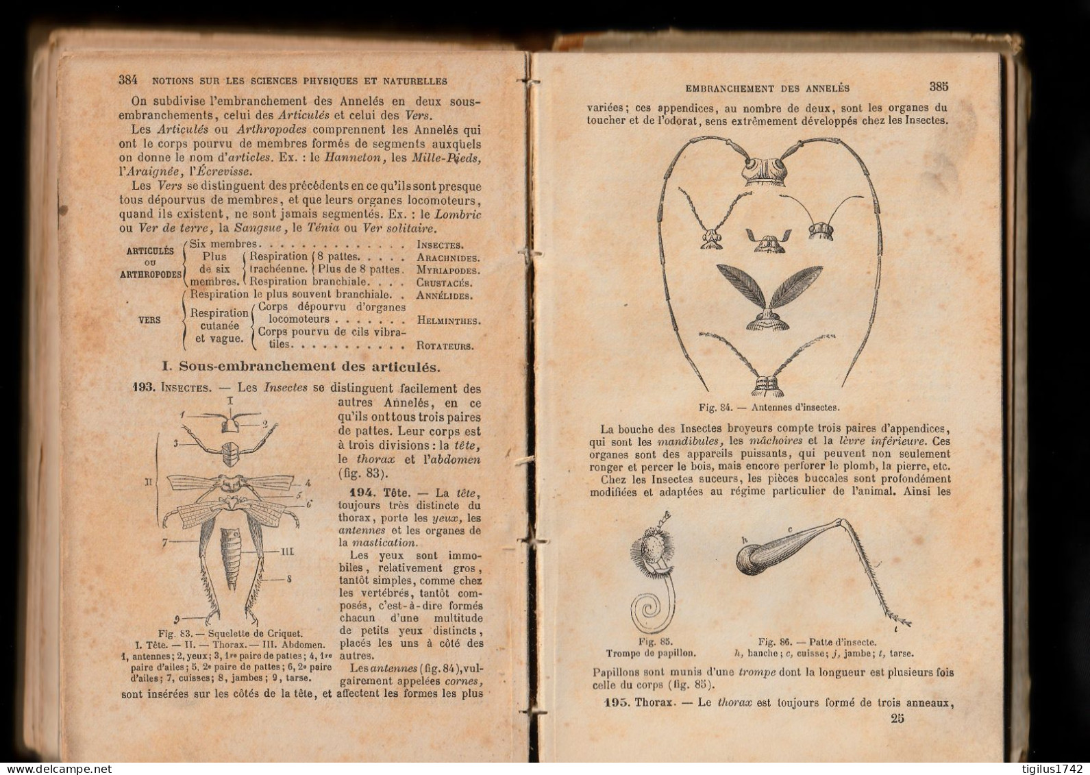 Frères Des écoles Chrétiennes. Notions De Sciences Physiques Et Naturelles. Brevet élémentaire, 1894 - 1801-1900