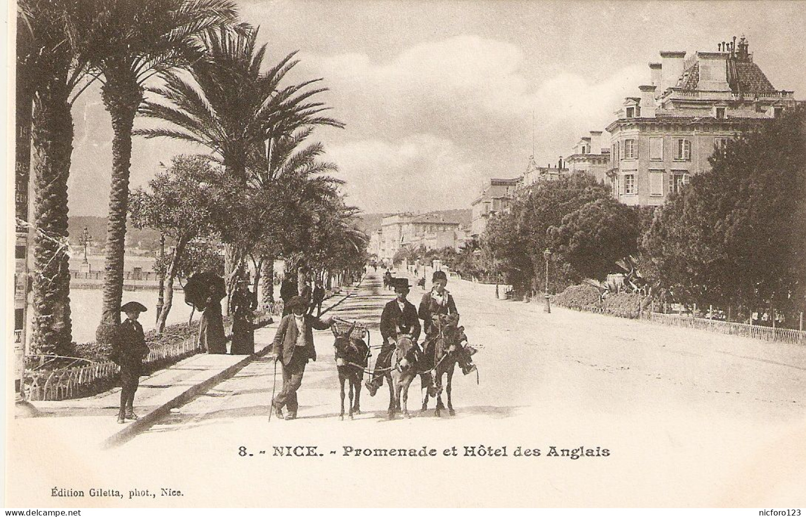 "Donkeys. Nice. Promenade Et Hotel Des Anglais" Old Vintage French Photo Postcard - Burros