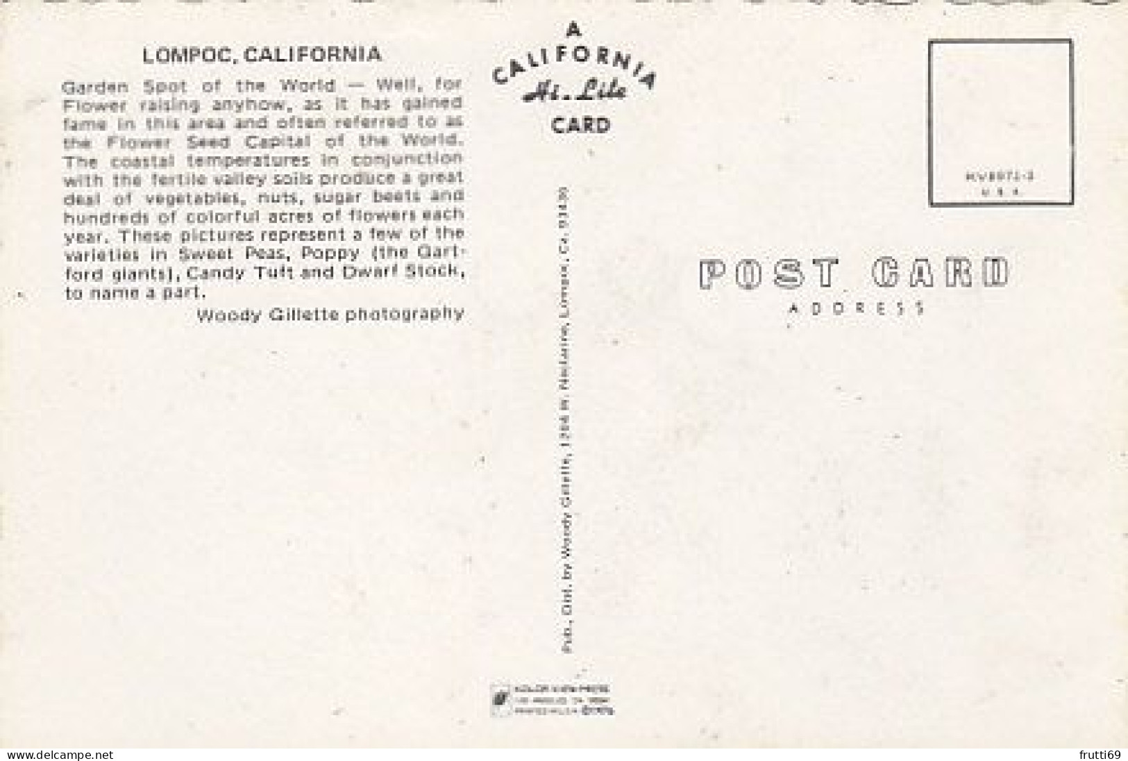 AK 215271 USA - California - Lompoc Flower Fields - Altri & Non Classificati