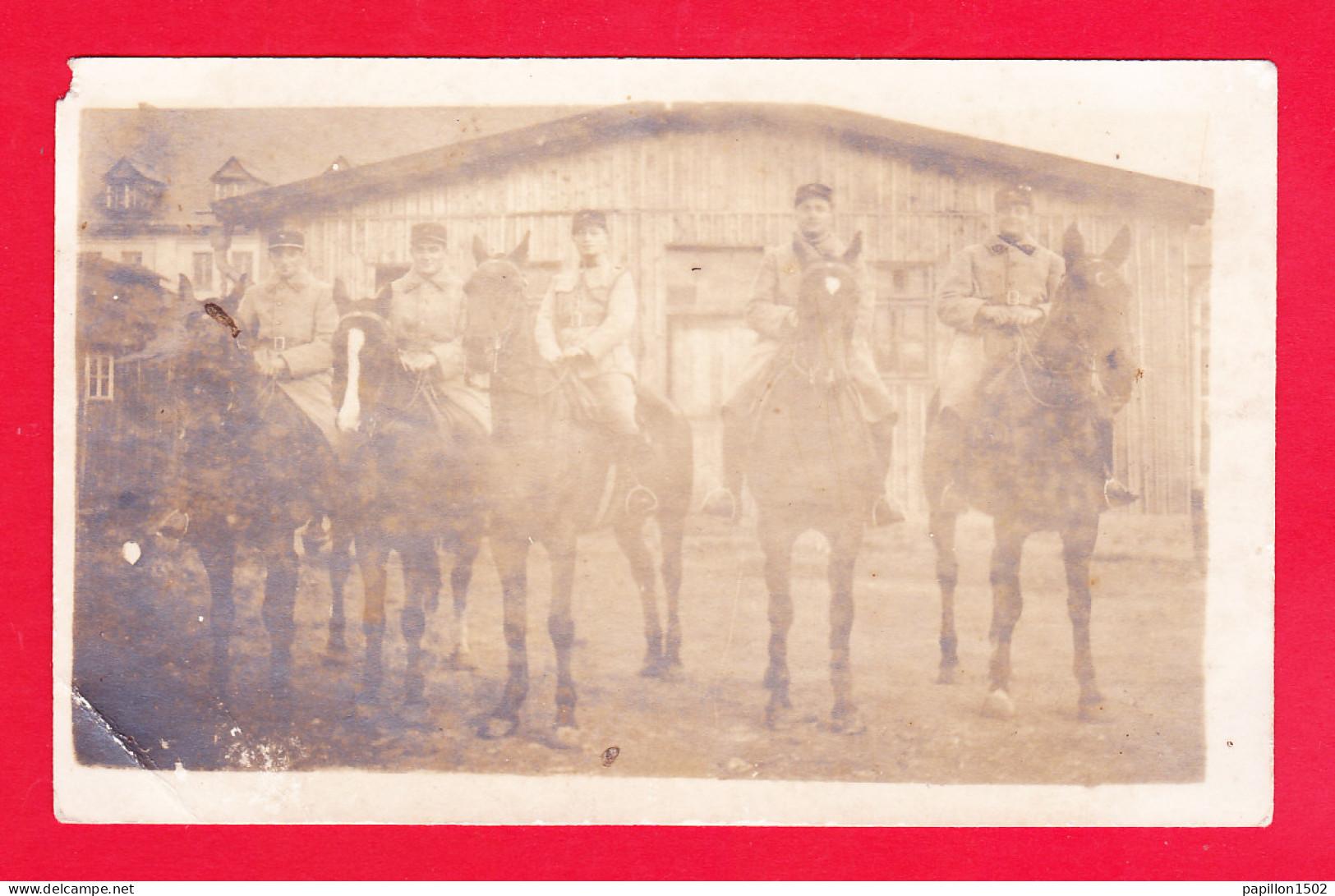 Milit-539A56  Carte Photo, Groupe De Militaires à Cheval, à Identifier - Autres & Non Classés