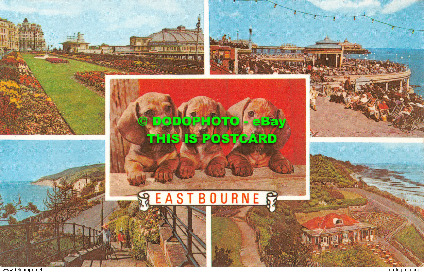 R517976 Eastbourne. Bandstand And Pier. Carpet Gardens. D. V. Bennett. Photo Vie - World