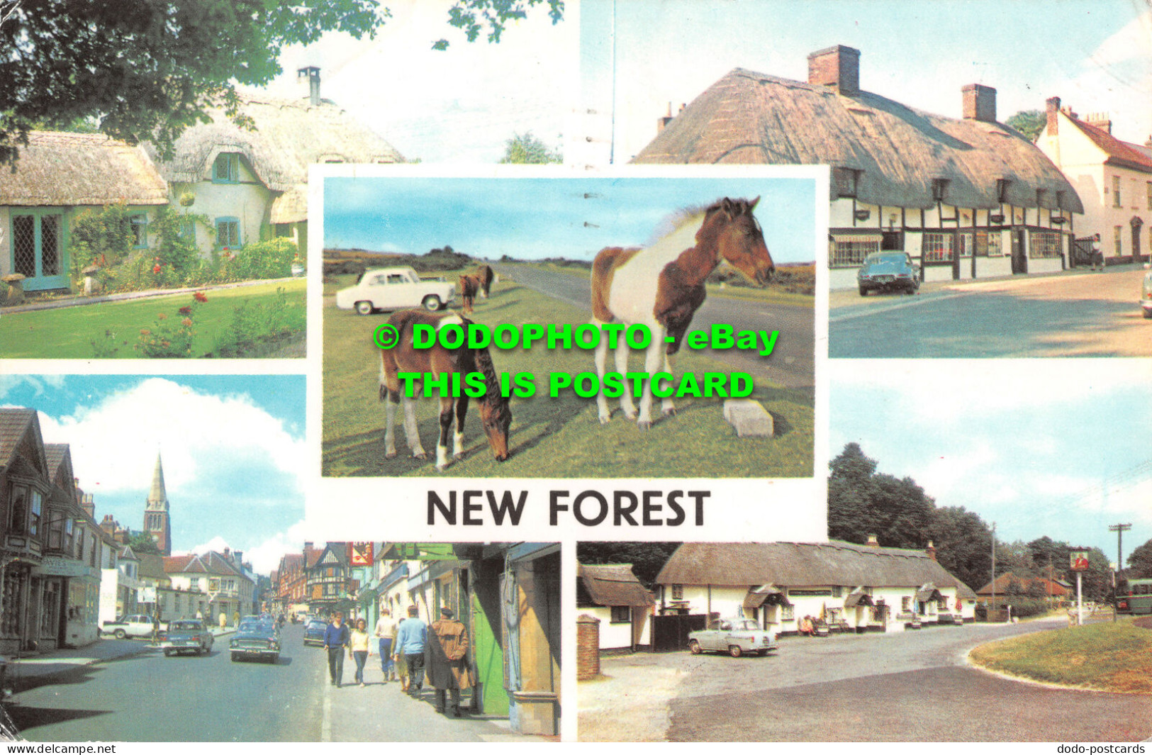 R517990 New Forest. Old Cottage. Ibsley. High Street. Lyndhurst. New Forest Poni - World