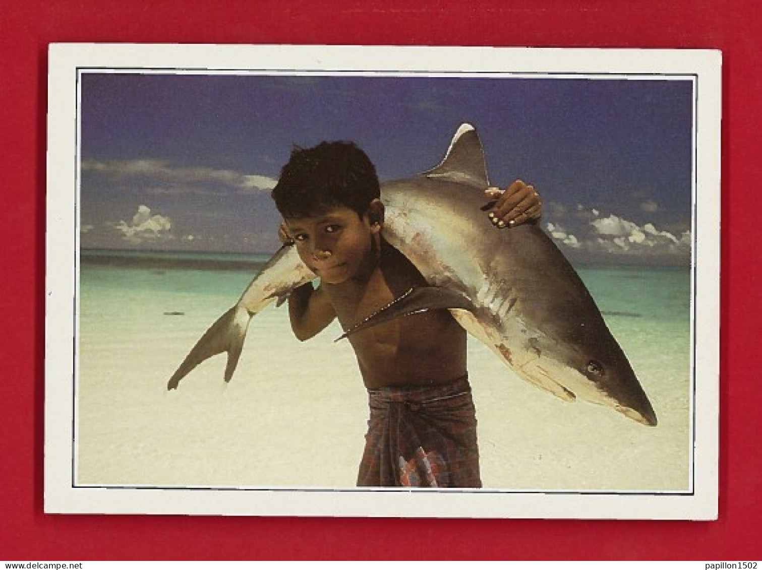 E-Maldives-01P Un Enfant Portant Sur Le Dos Un Requin à Pointe Blanche, TBE - Maldivas