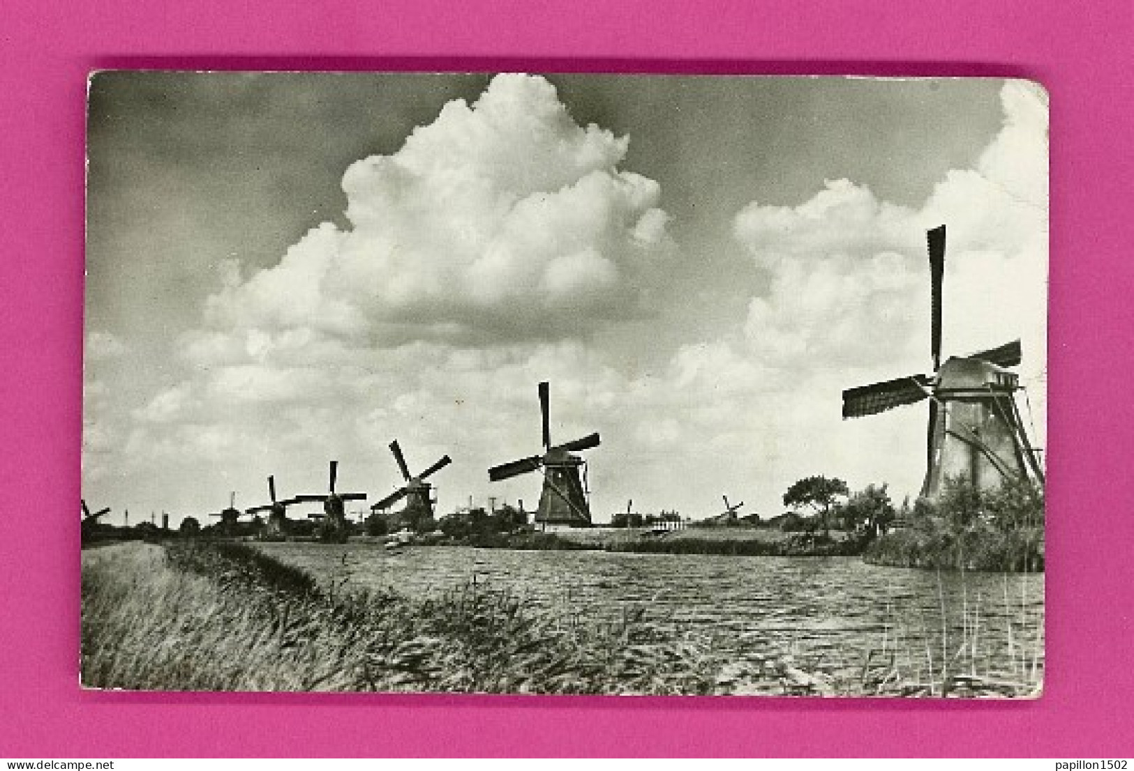 E-Pays Bas-36PHC  Molenlandschap, Des Moulins, Type Photo - Other & Unclassified