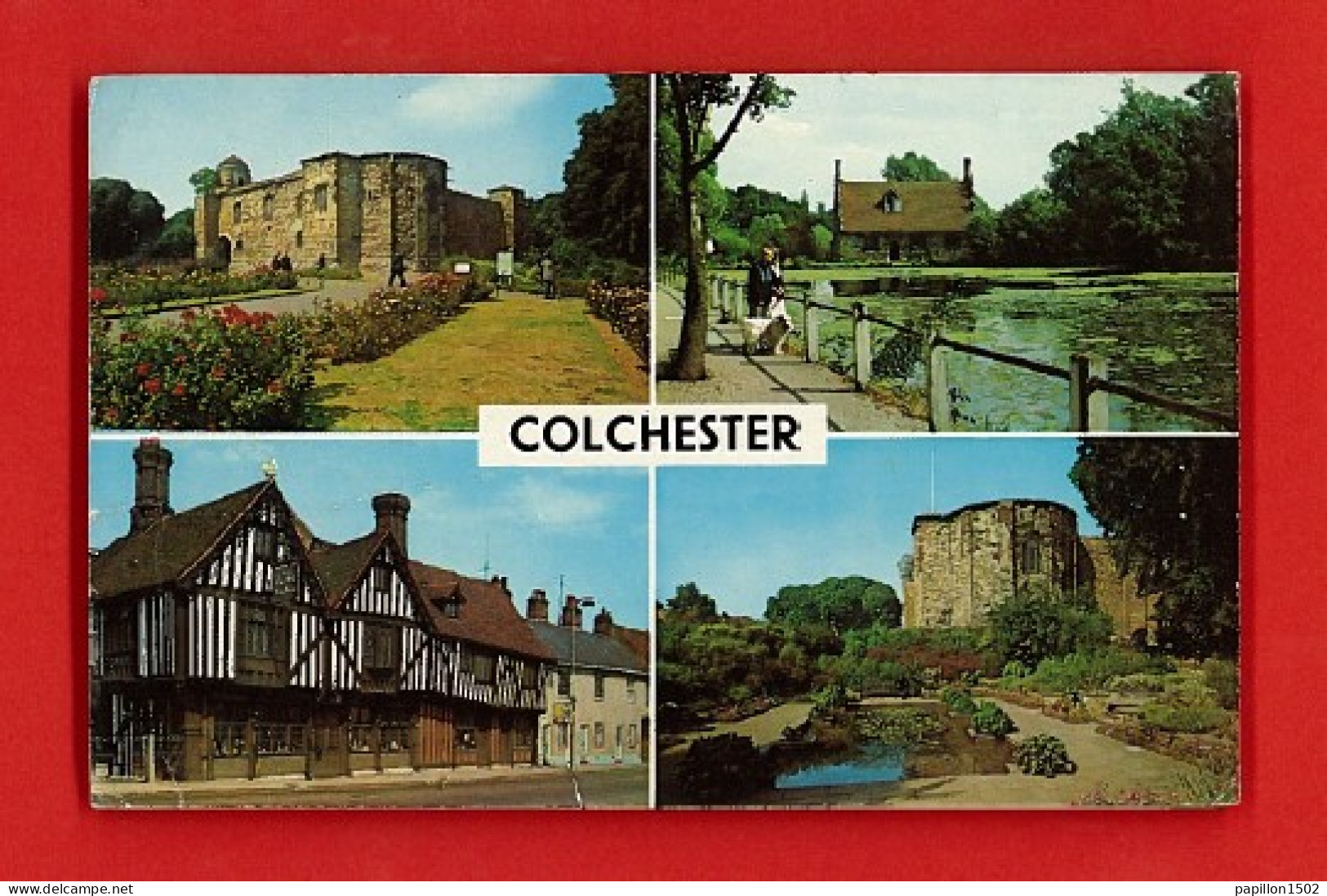 E-Royaume-Uni-41D COLCHESTER, The Castle, The Old Siege House, Bourne Mill, Lily Pond - Colchester
