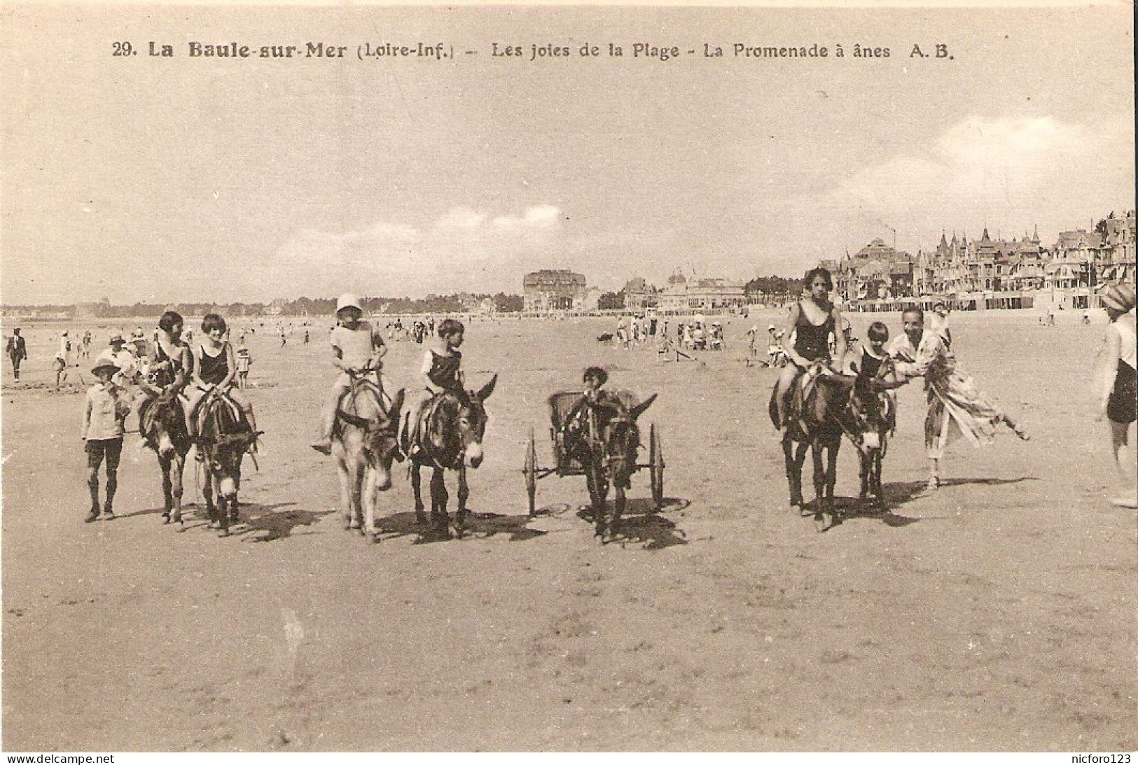 "Donkeys. La Baule Sur Mer. La Promenade A Ane" Old Vintage French Photo Postcard - Ezels