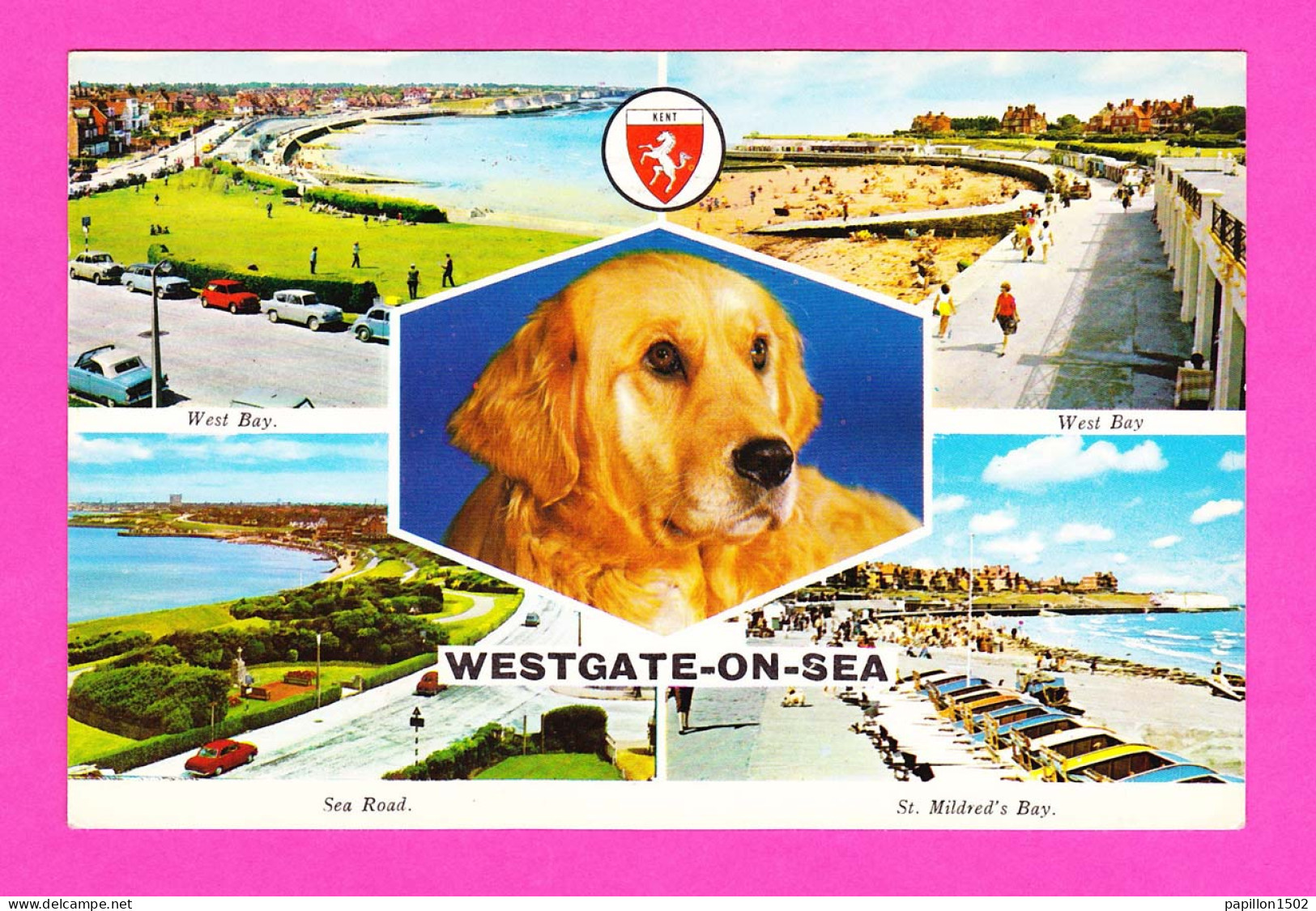 E-Royaume Uni-199P8 WESTGATE ON SEA, West Bay, Sea Road, St Mildred Bay, Chien, Voir Oblitération - Altri & Non Classificati