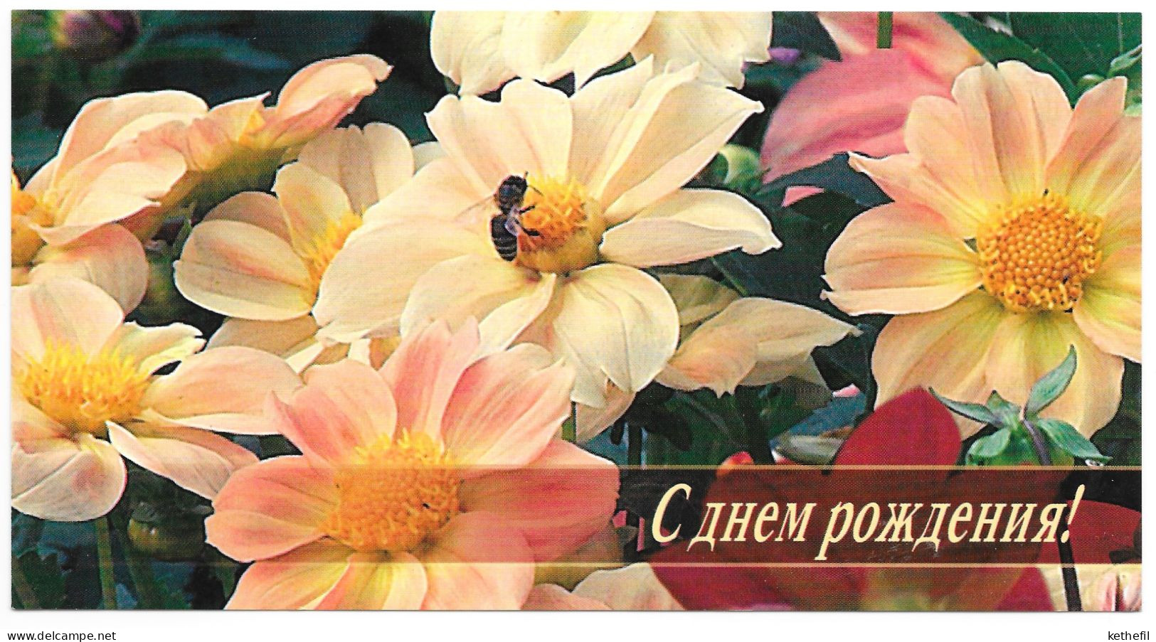 Bloemen Bij Fleurs Abeille Flowers Bee Text 'congrats' Gefeliciteerd 21.10.2002 Not Used - Enteros Postales