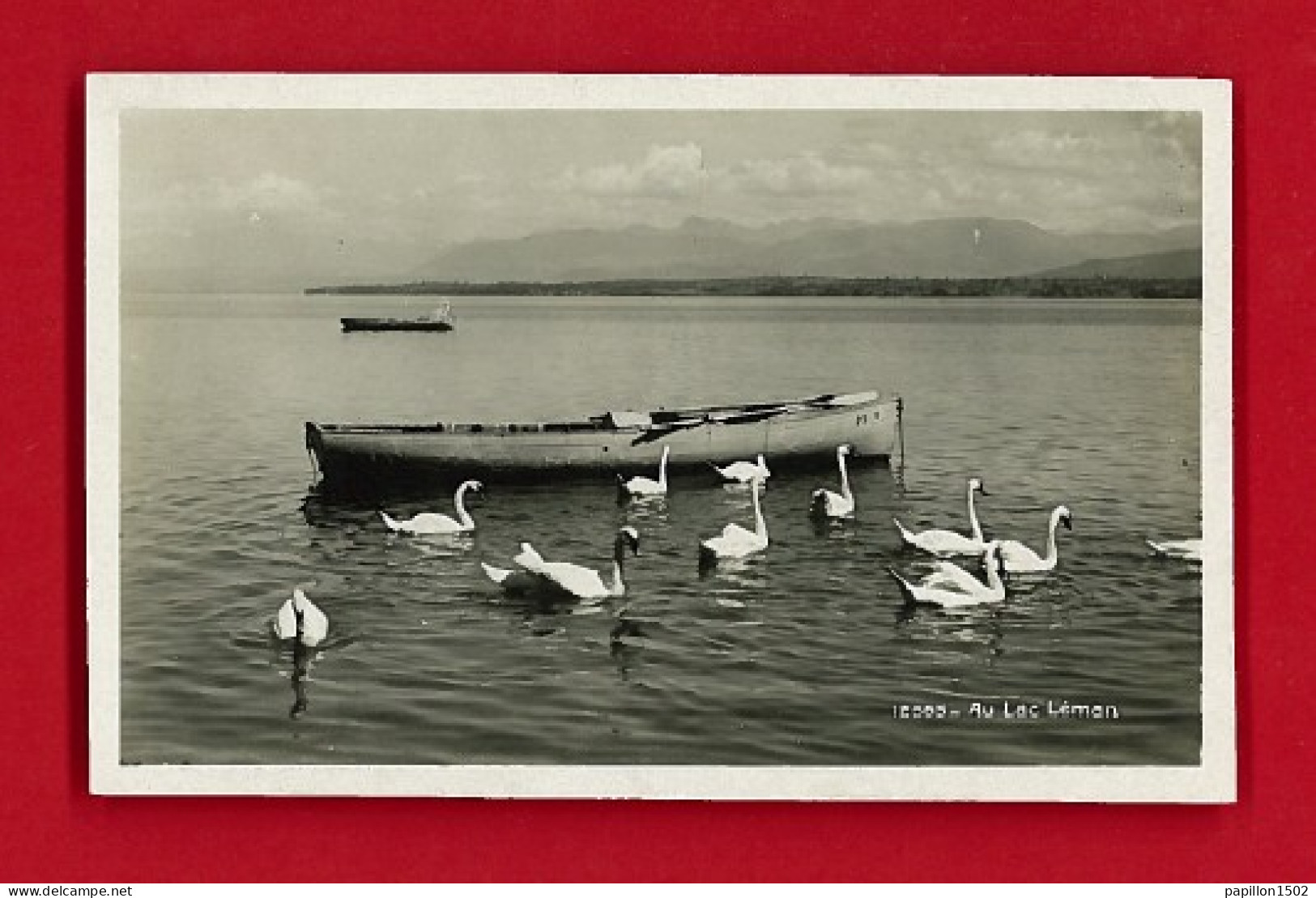 E-Suisse-140P Au Lac Léman, Les Cygnes, Barques, Type Photo BE - Altri & Non Classificati