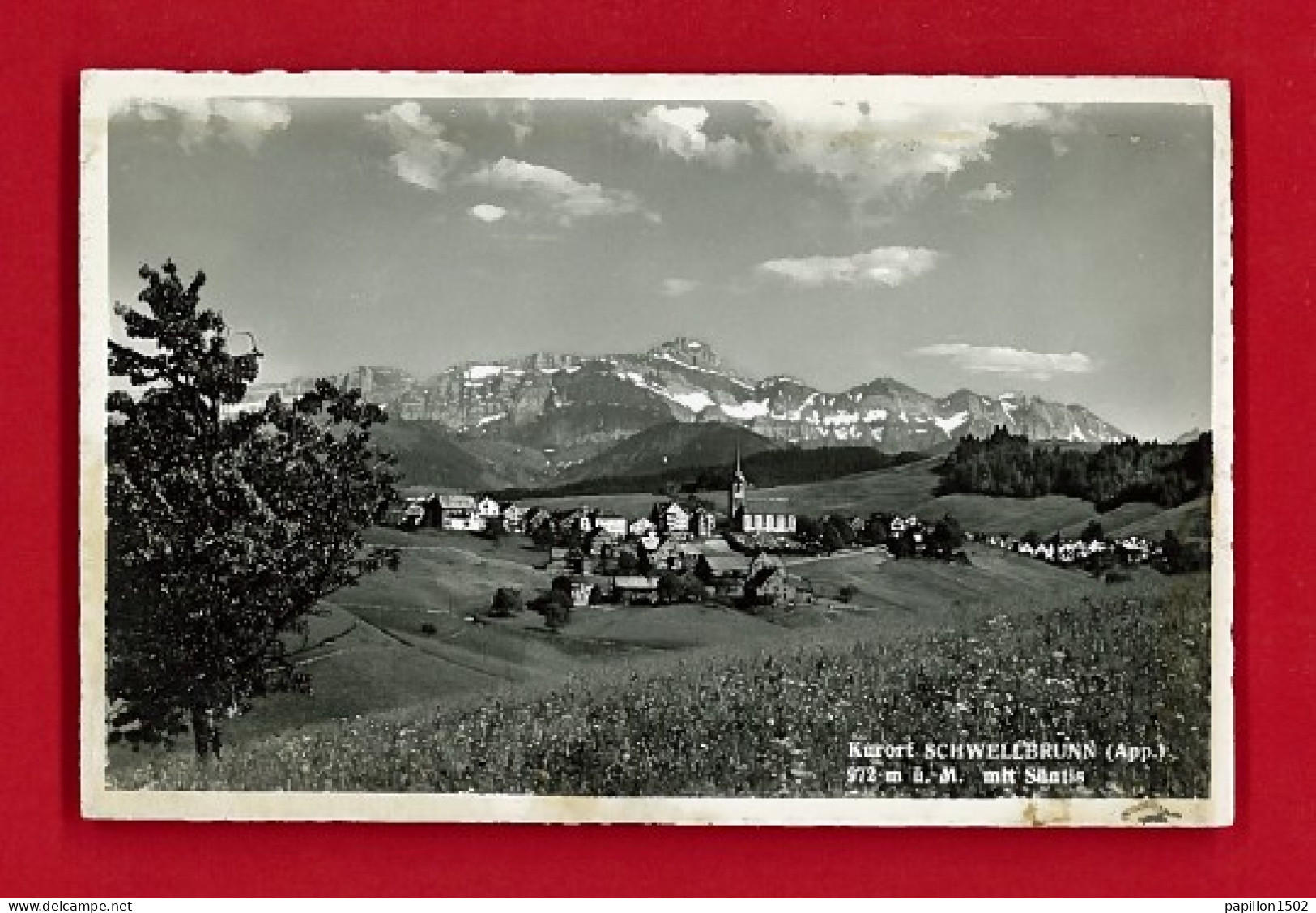 E-Suisse-145P SCHWELLBRUNN, Kürotf, Mit Säntis, Vue Générale Sur La Ville, Type Photo - Sonstige & Ohne Zuordnung