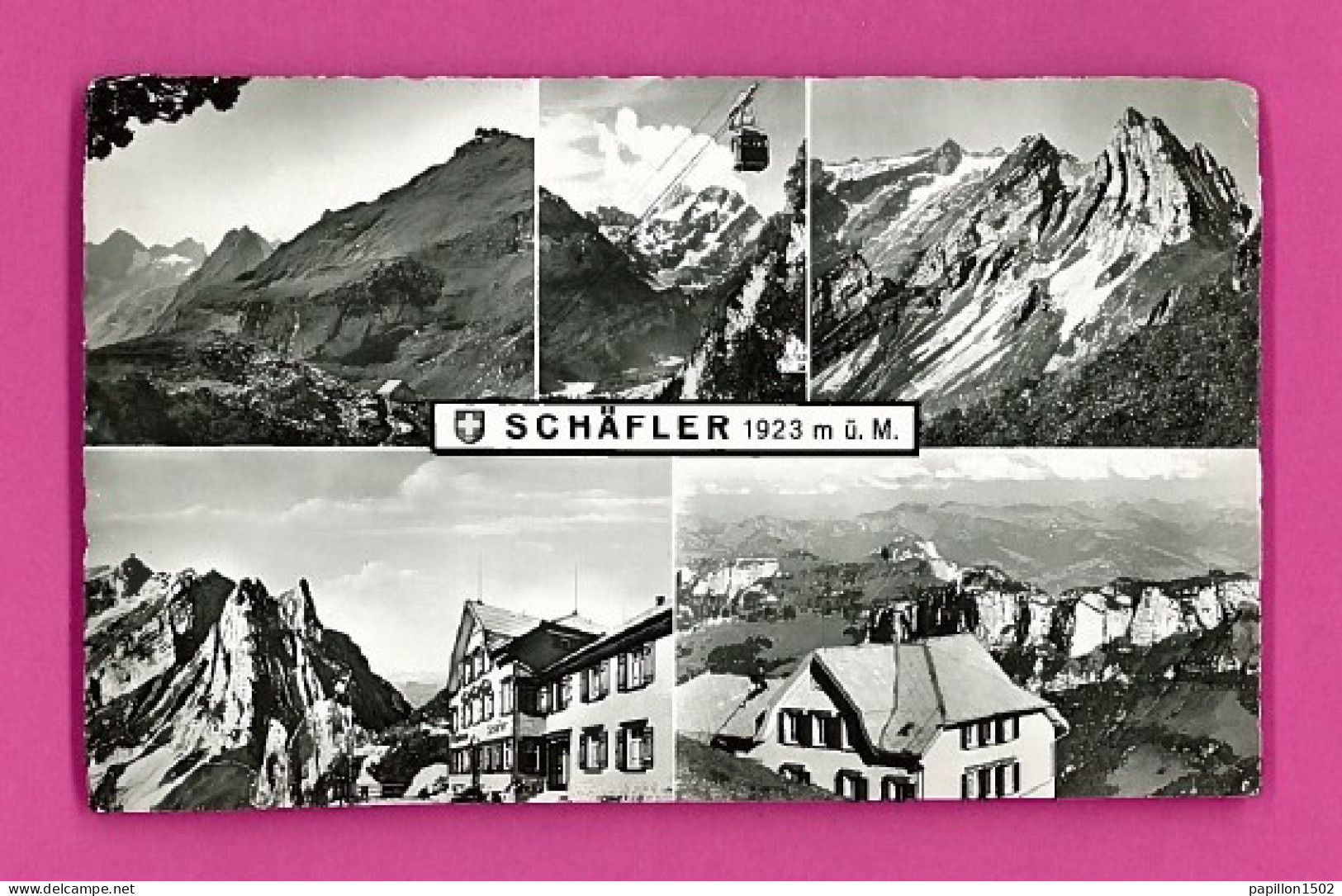 E-Suisse-146P SCHAFLER, BERGSTATION EBENALP, Vues Diverses, Chalets, Hôtel, Téléphérique, Type Photo - Altri & Non Classificati