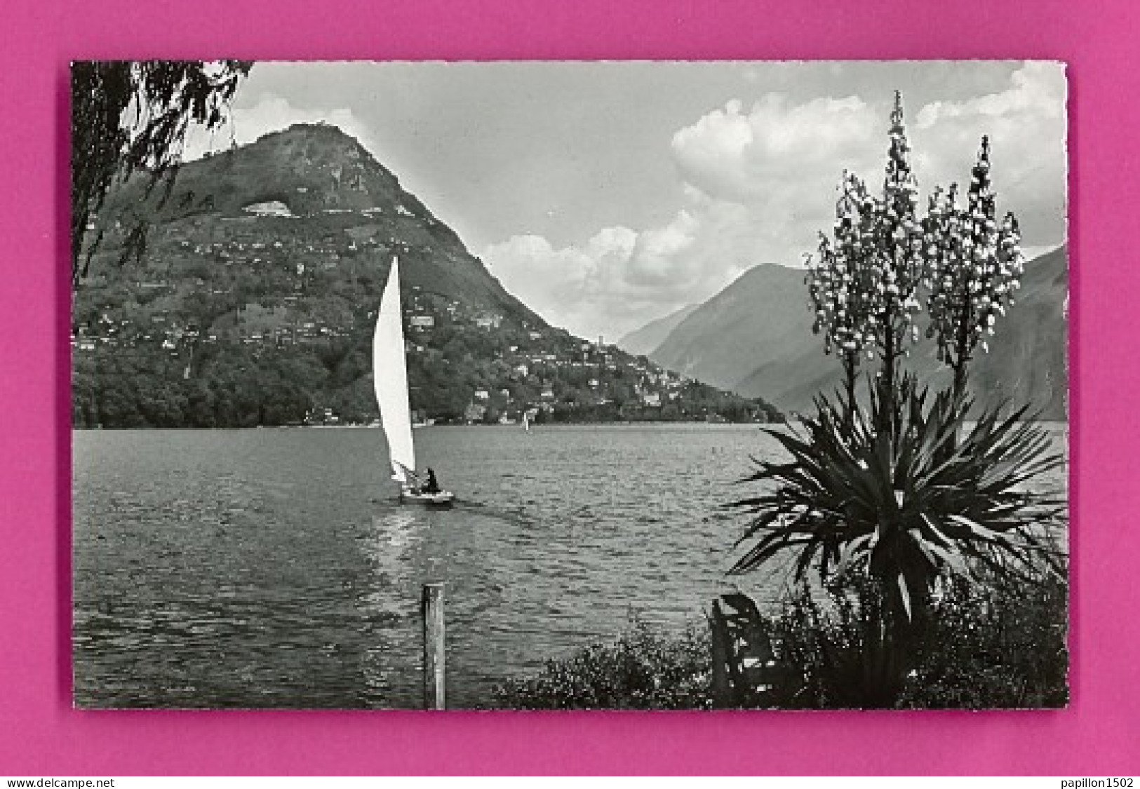 E-Suisse-Lugano-14P Vue Générale Sur Le Lac, Le Monte BRE, Voilier, Type Photo BE - Andere & Zonder Classificatie