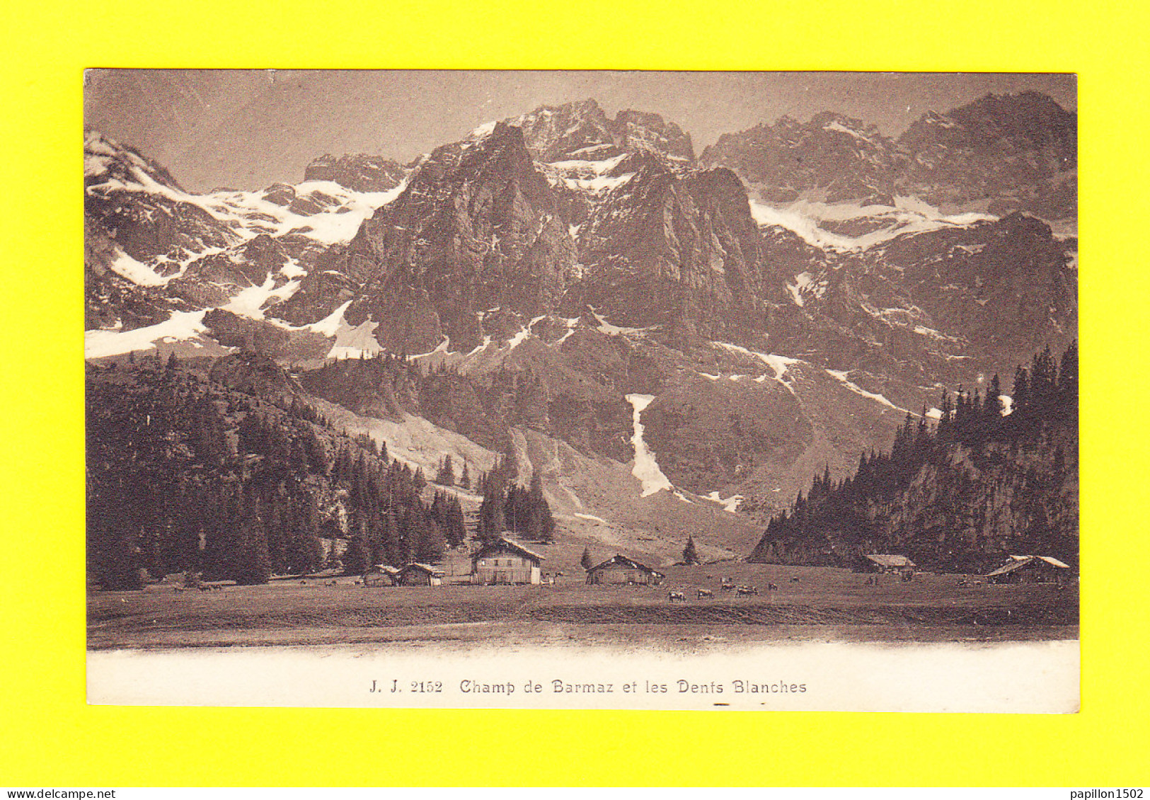 E-Suisse-189P Champ De BARMAZ Et Les Dents Blanches, Quelques Chalets, Cpa BE - Sonstige & Ohne Zuordnung