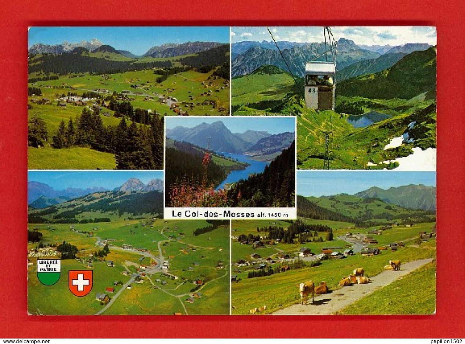 E-Suisse-345P Le Col Des Mosses, Multivues, Télécabine, Vaches, BE - Autres & Non Classés