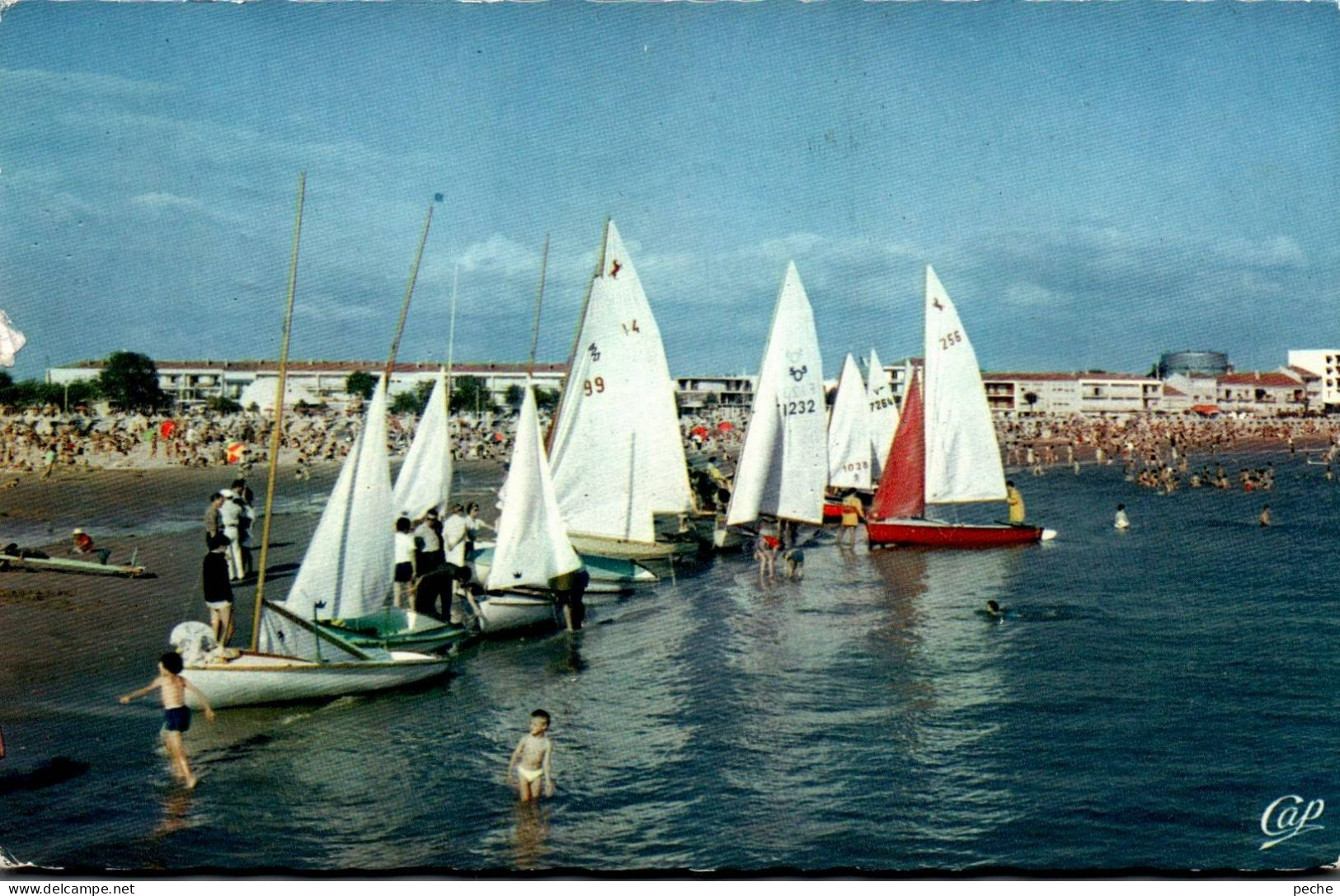 N°1082 W -cpsm Royan -les Régates- - Sailing