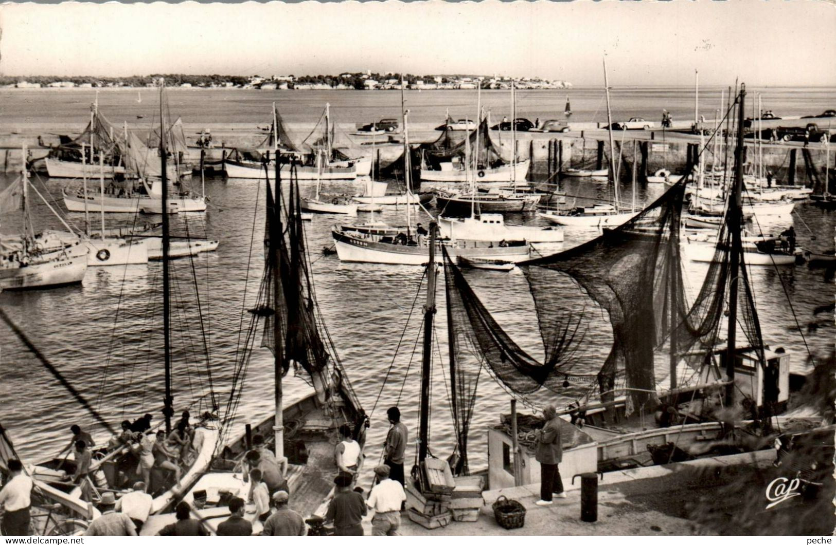 N°1085 W -cpsm Royan -les Bateaux De Pêche- - Visvangst