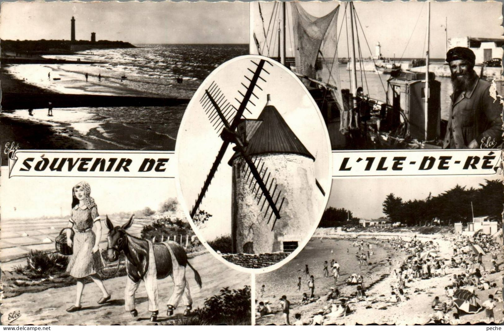 N°1086 W -cpsm Souvenir De L'île De Ré -multivues- - Souvenir De...