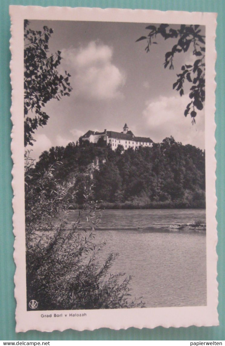 Cirkulane / Ankenstein - Grad Borl V Halozah / Schloß Anchenstein - Slovenia