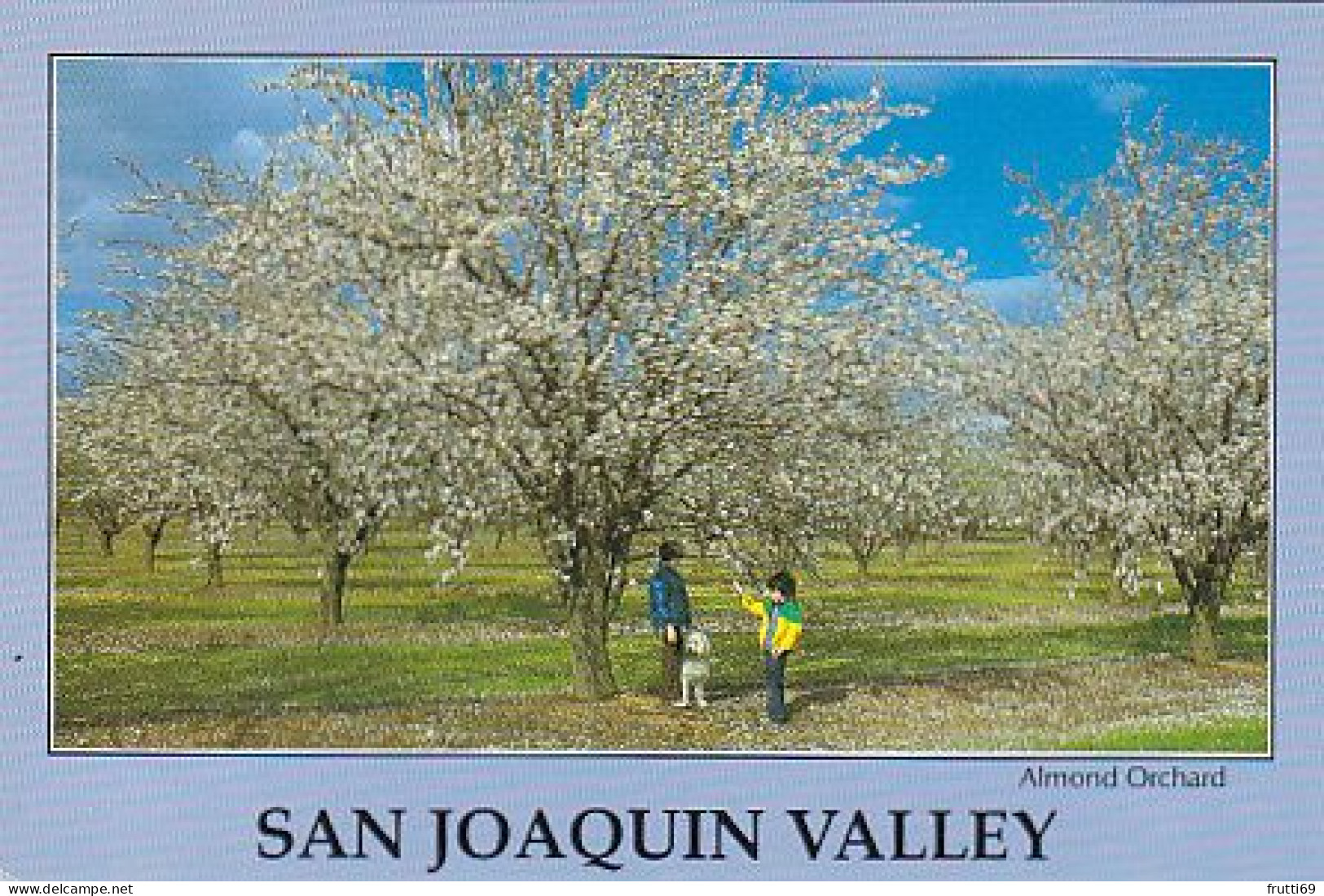 AK 215288 USA - California - San Joaquin Valley - Almond Orchard - Sonstige & Ohne Zuordnung