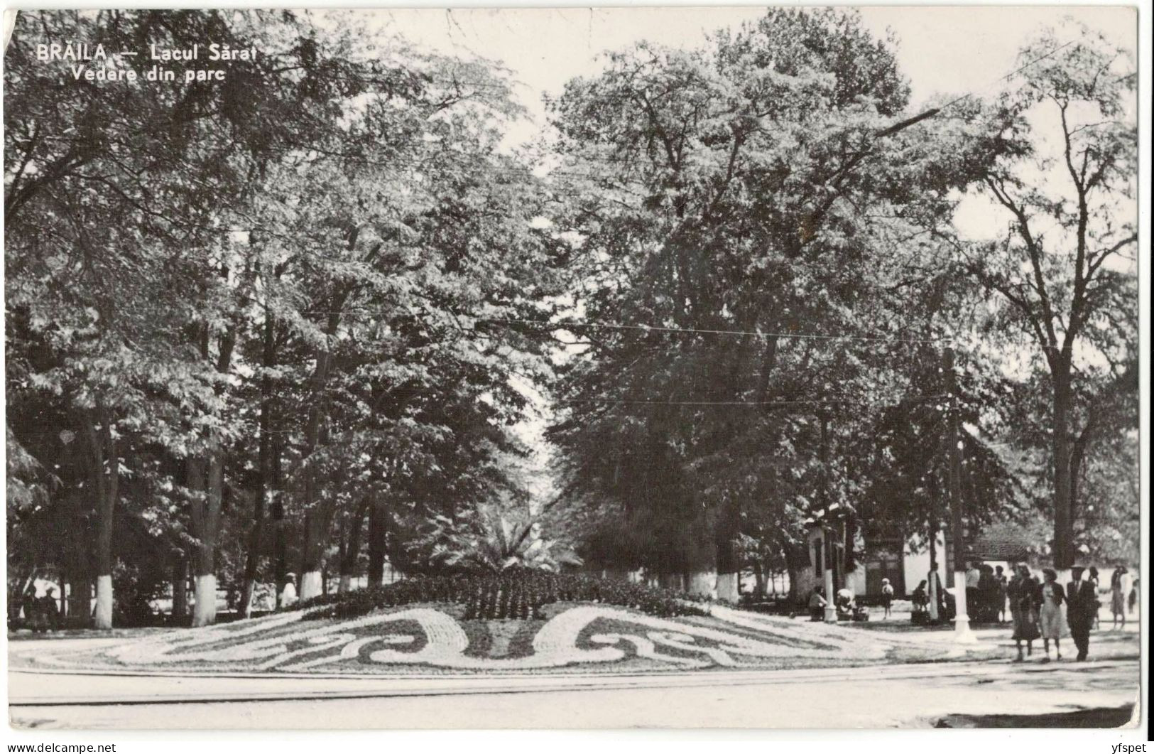 Brăila - Lacul Sărat - View Of The Park - Rumania