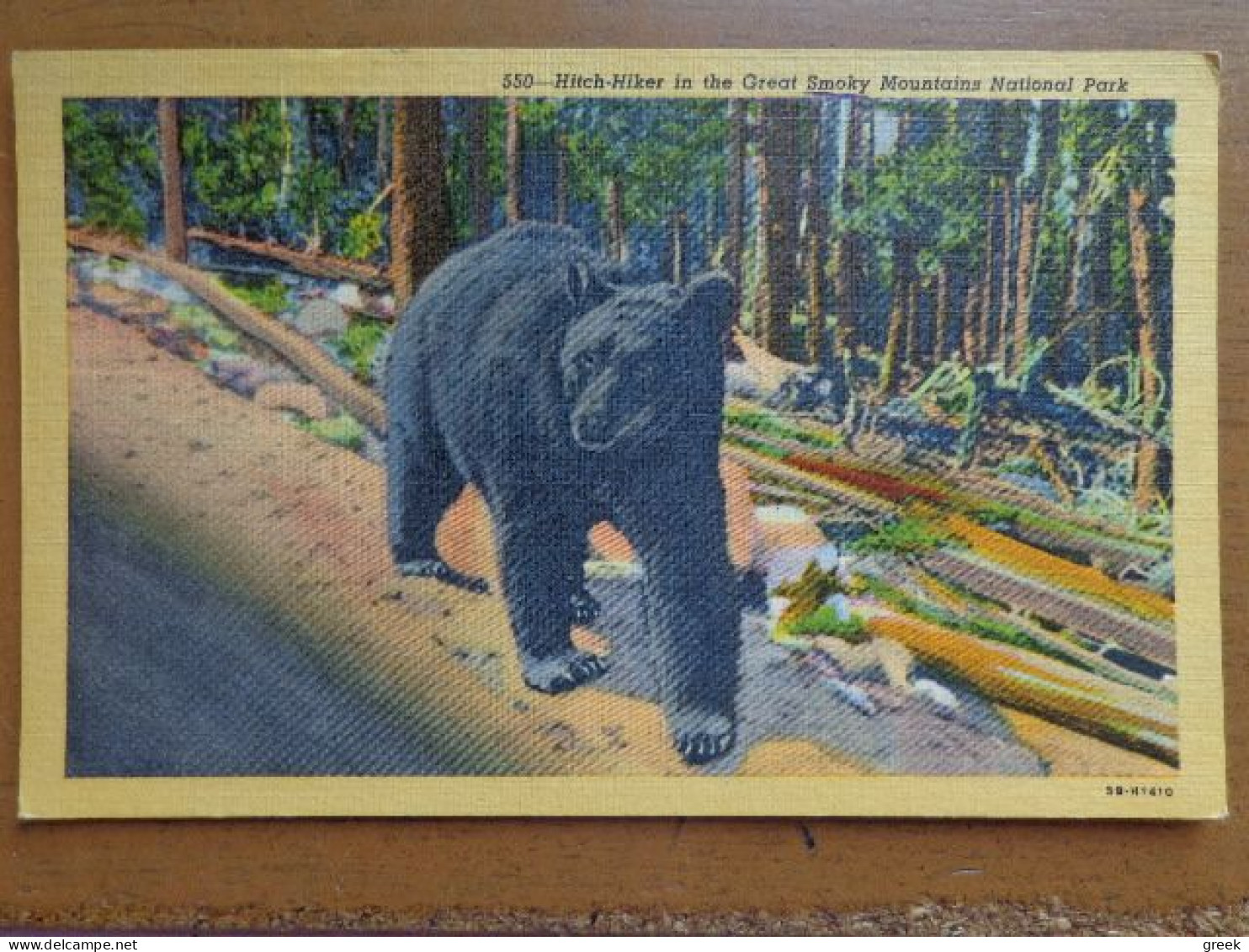 Beer, Bear, Ours / Hitch Hiker In The Great Smoky Mountains National Park -> Unwritten - Bears