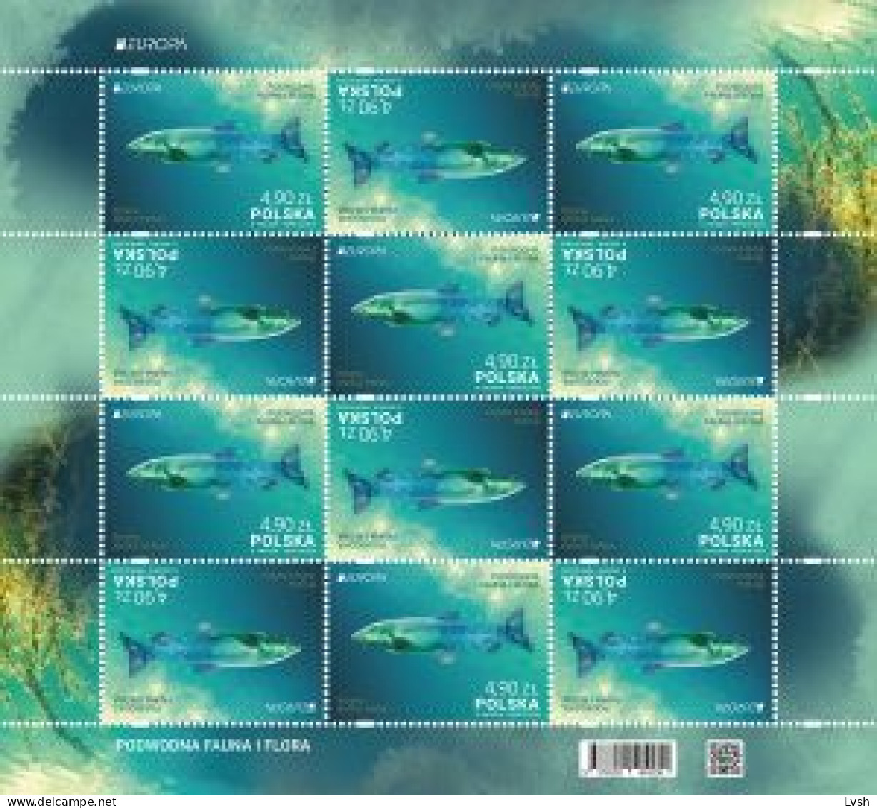 Poland.2024.Europa CEPT.Underwater Fauna And Flora.Common Barbel (barbus Barbus) .m/s ** . - 2024