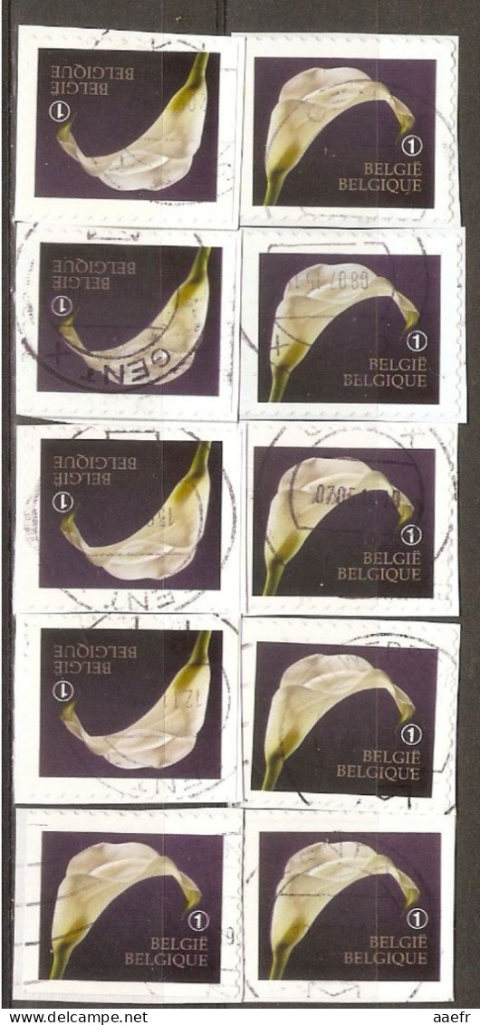 Belgique 2013 - Timbres De Deuil - Petit Lot De 10 Timbres° Sur Fragments Du Carnet B 142 - 4 Différents - Zonder Classificatie