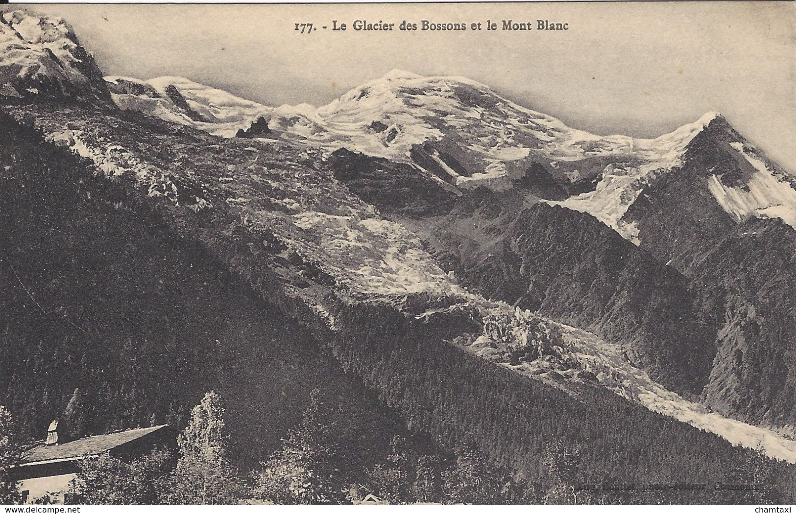 74 CHAMONIX MONT BLANC GLACIER DES BOSSONS MASSIF DU MONT BLANC  Editeur COUTTET  Auguste N° 177 - Chamonix-Mont-Blanc