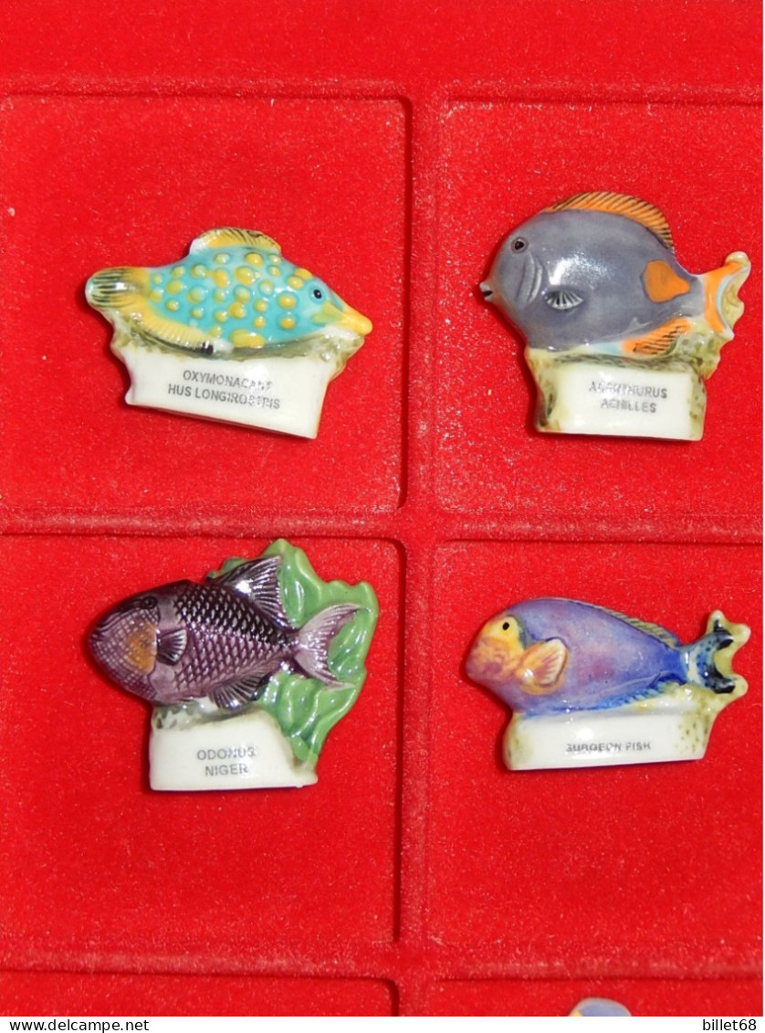 4 Feves Differentes - Poissons - Animals