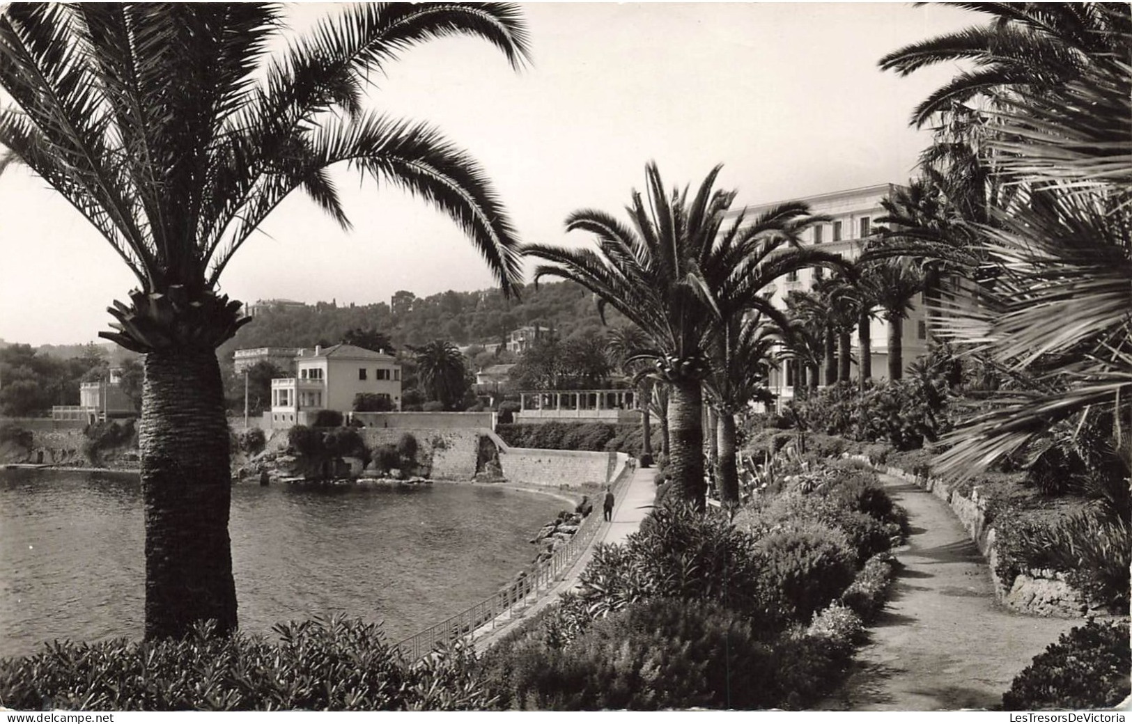 FRANCE - Côte D'Azur - Beaulieu Sur Mer - Le Jardin Exotique - La Baie Des Fourmis Et Hôtels - Carte Postale Ancienne - Beaulieu-sur-Mer