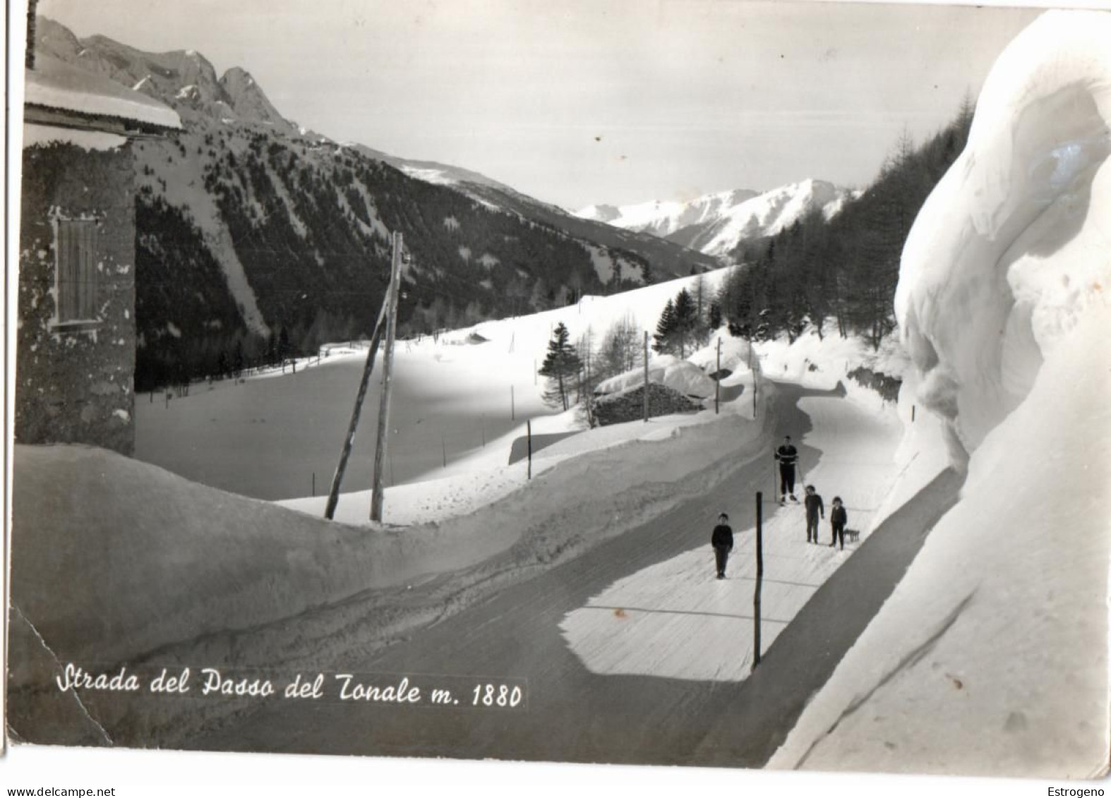 Strada Passo Del Tonale M 1880 - Trento