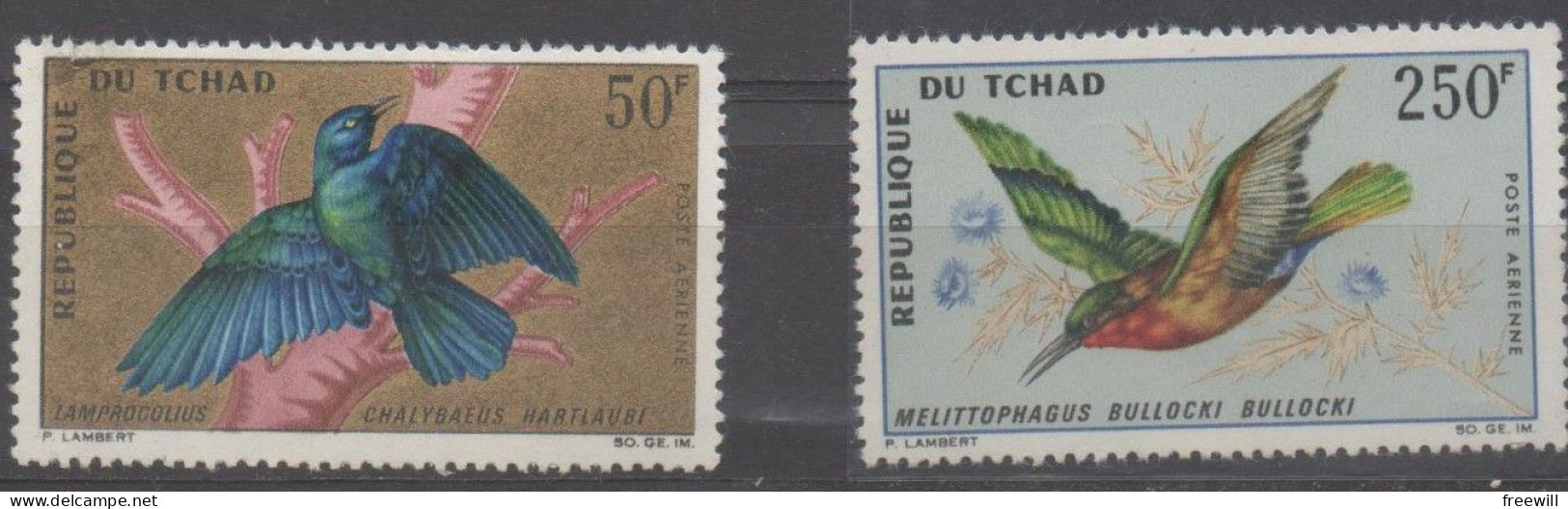 Tchad Oiseaux - Birds - Vogels  XXX - Tsjaad (1960-...)