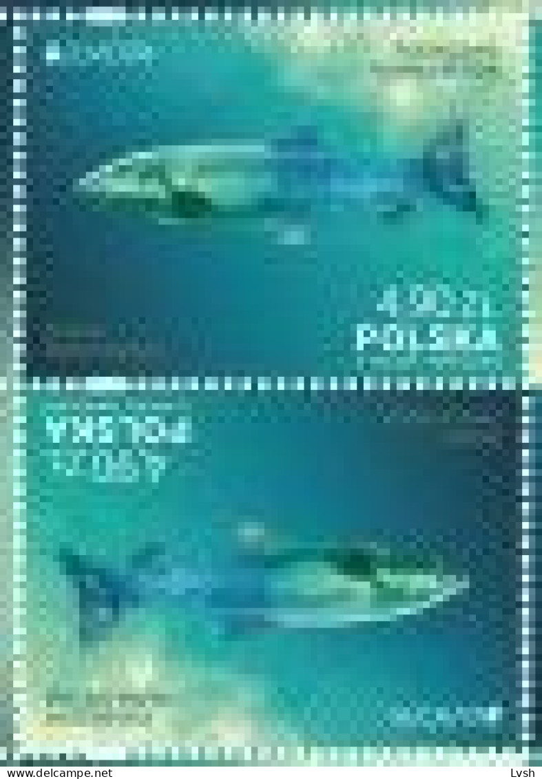 Poland.2024.Europa CEPT.Underwater Fauna And Flora.Common Barbel (barbus Barbus) .Tet - Beshe  ** . - 2024