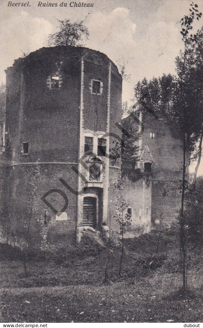 Postkaart - Carte Postale - Beersel - Ruines Du Château     (C5841) - Beersel