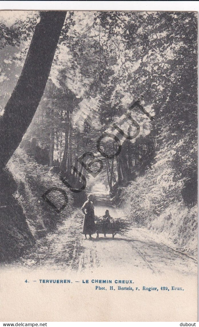 Postkaart - Carte Postale - Tervuren - Le Chemin Creux  (C5863) - Tervuren