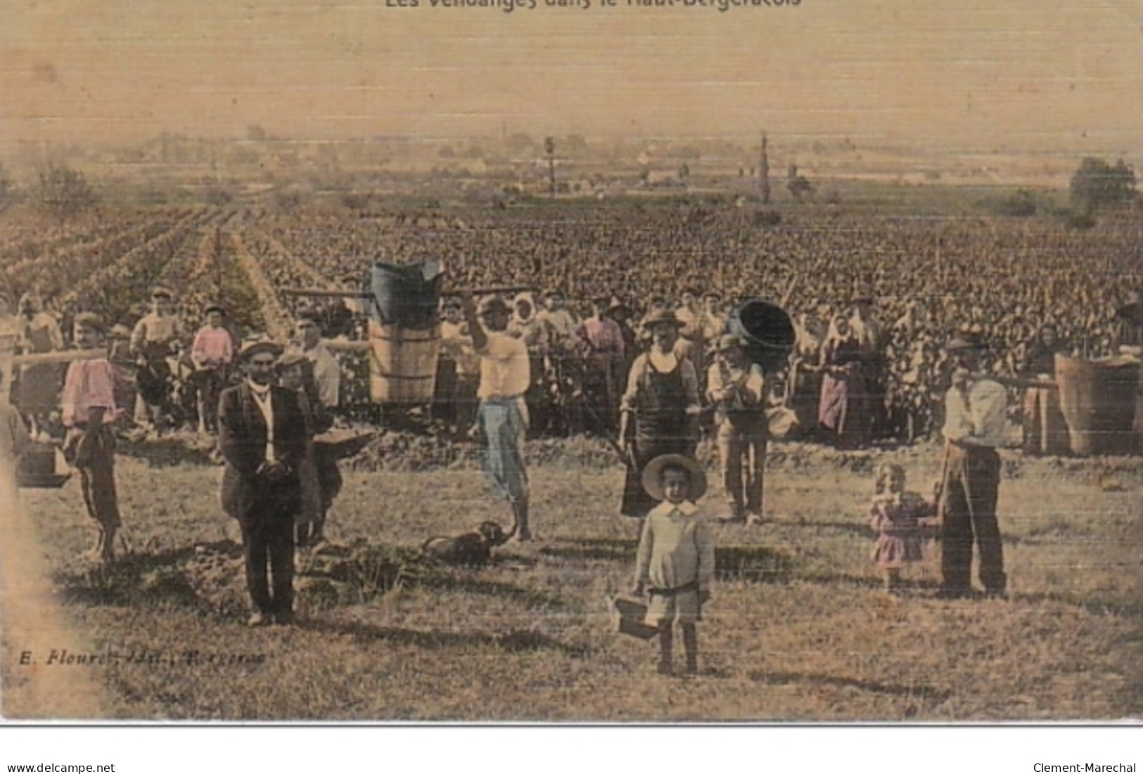 Les Vendanges Dans Le Haut-Bergeracois Vers 1910 - Bon état (traces Au Dos) - Autres & Non Classés