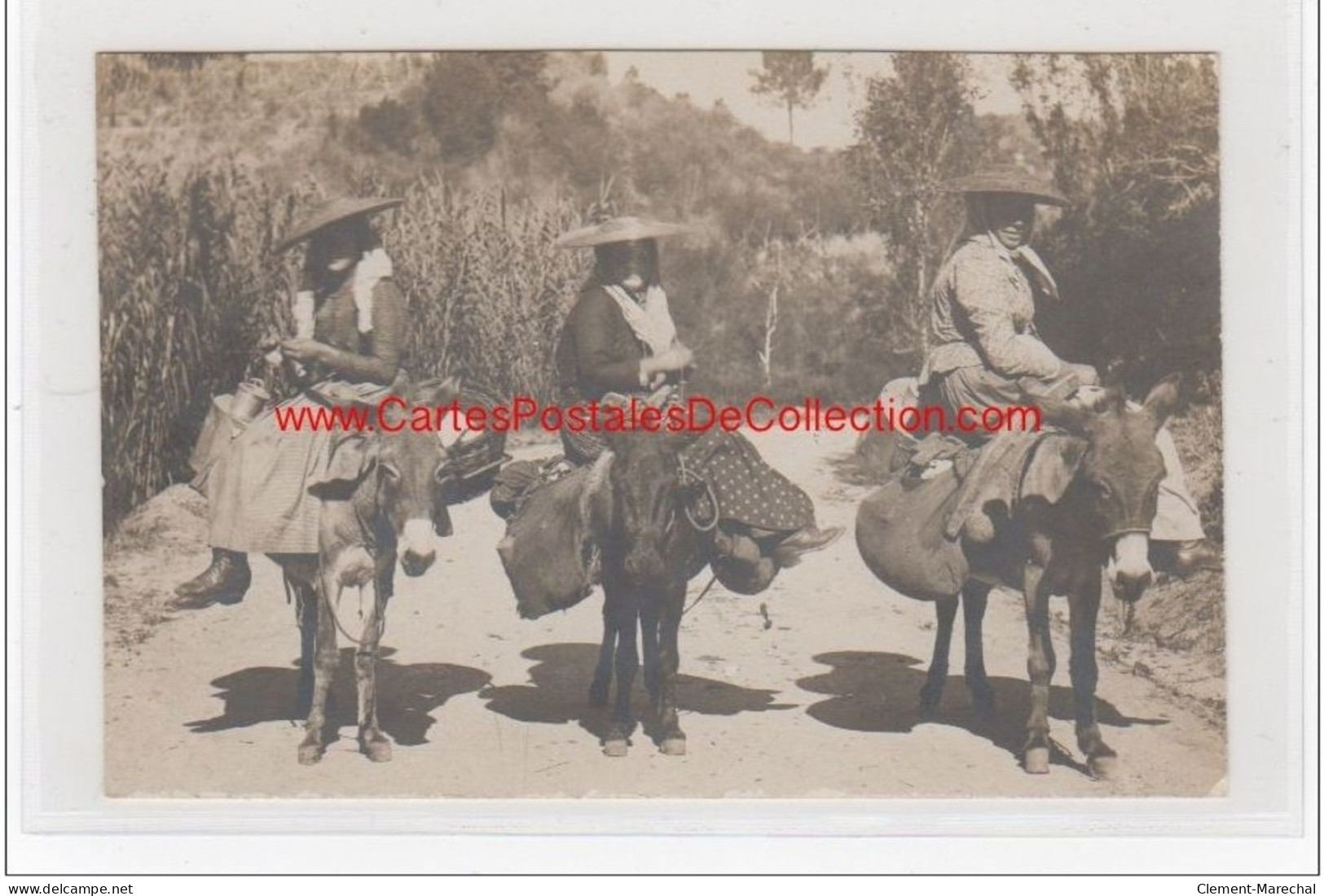 Carte Photo Par CARDINALI (cachet Au Dos) : Marchandes De Lait - Très Bon état (format Un Peu Plus Court Qu'une Cpa) - Otros & Sin Clasificación