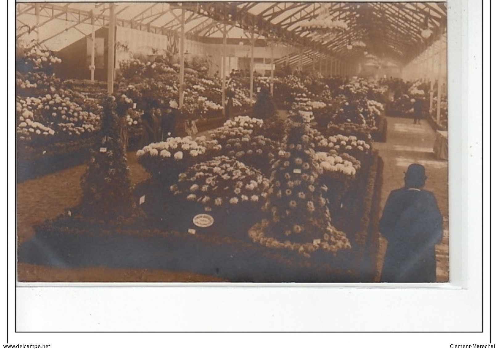 PARIS 1er : Carte Photo De L'exposition Horticole (chrysanthèmes) En 1909 (stand Vilmorin Andrieux) - Très Bon état - Distrito: 01