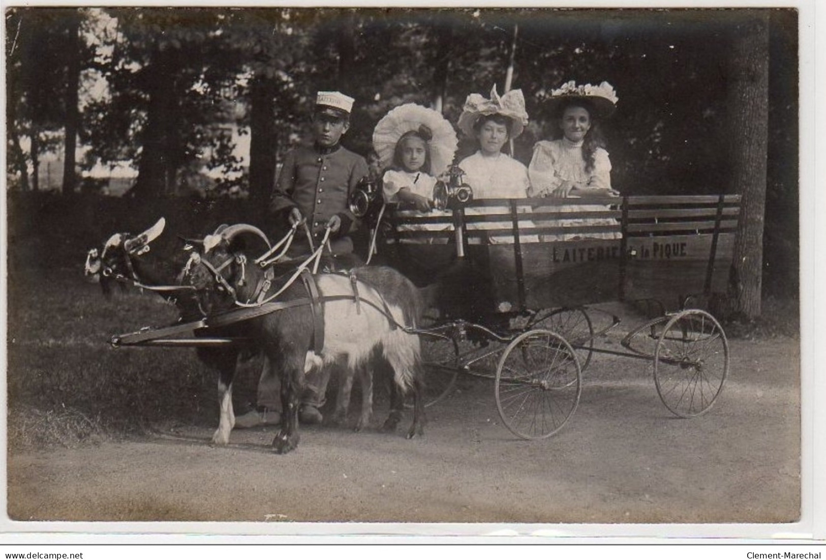 LUCHON ESTINES : Carte Photo De L'attelage De Livraison De La Laiterie De La Pique (attelage De Chèvres) - Très Bon état - Luchon