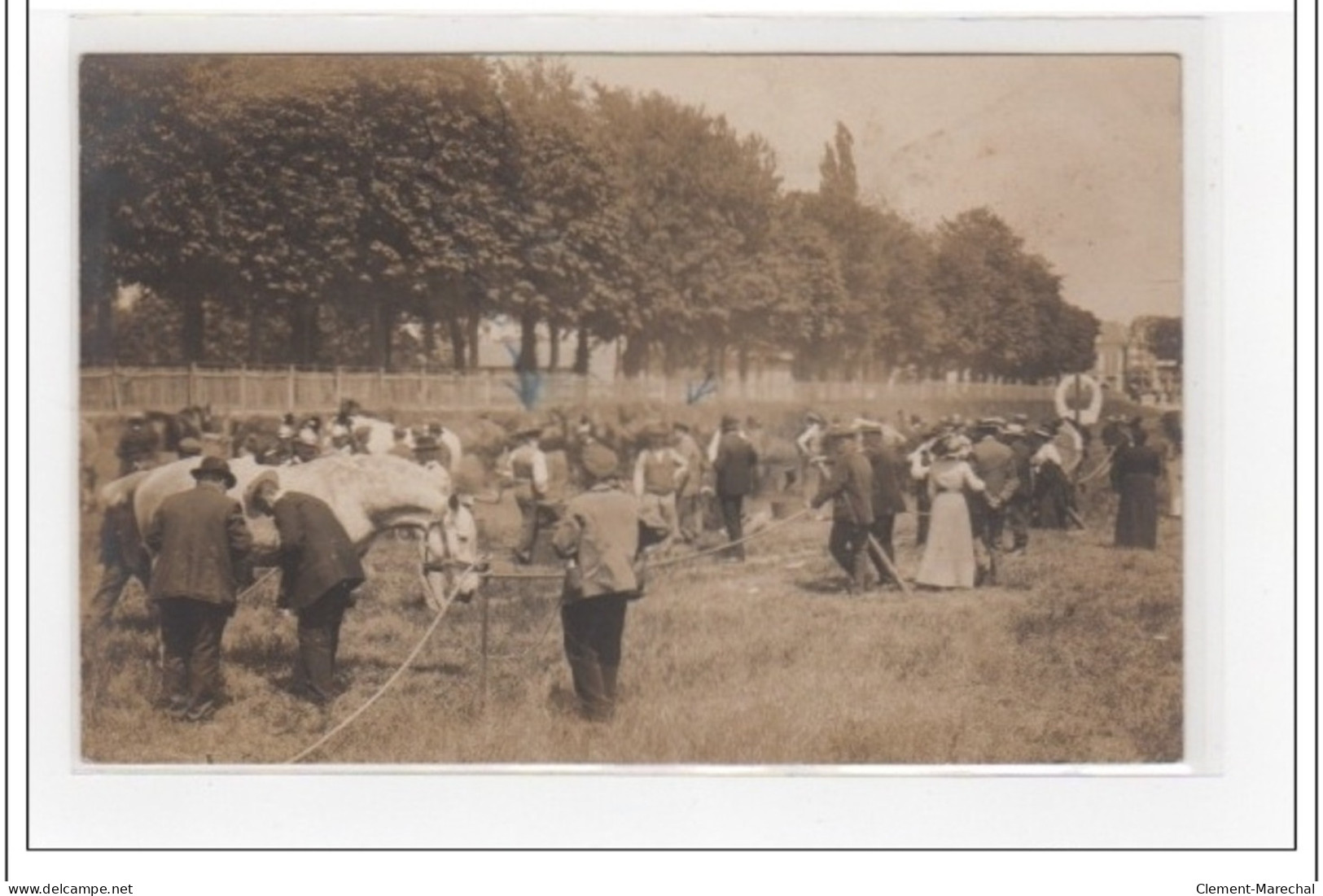 EVREUX : Carte Photo Prise Pendant Le Concours Pour Le Ferrage Des Chevaux Vers 1910 (maréchal-ferrant) - Très Bon état - Evreux