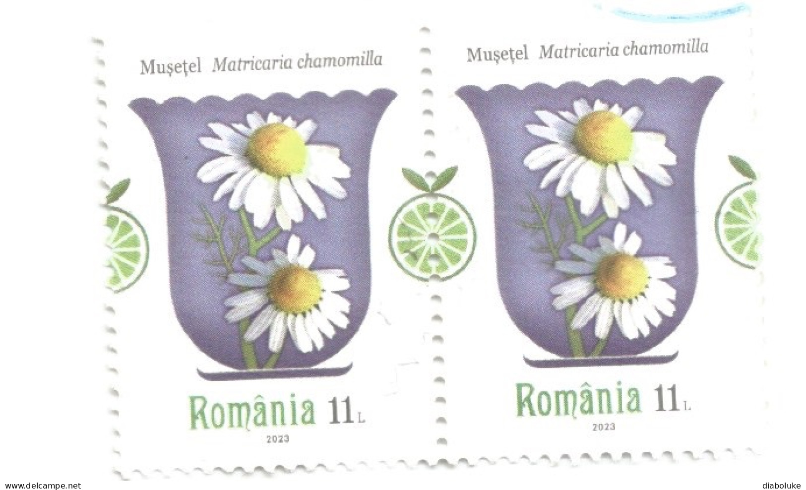 (ROMANIA) 2022, MEDICAL PLANTS, GERMAN CHAMOMILE, MATRICARIA CHAMOMILLA - 2 Conjoined Used Stamp - Usati