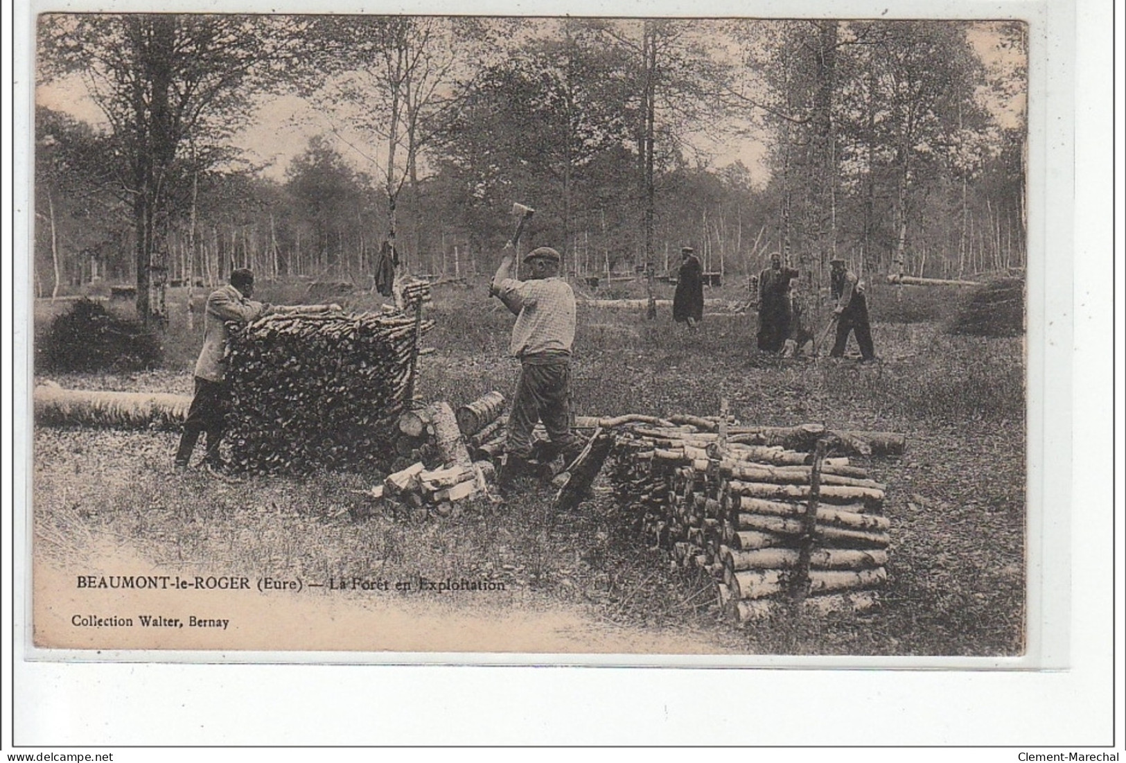 BEAUMONT LE ROGER - La Forêt En Exploitation - Très Bon état - Beaumont-le-Roger