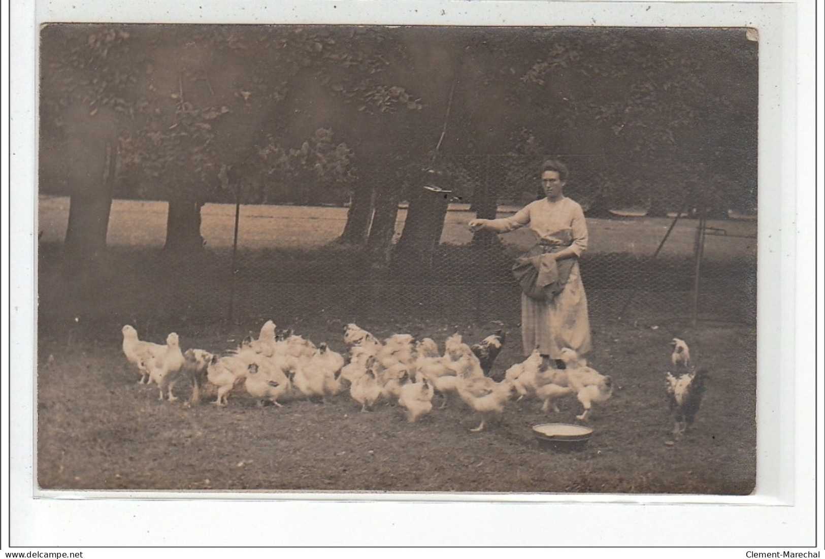 ROUEN - CARTE PHOTO - Femme Donnant Du Grain Aux Poules - Cliché A. Chambry à ROUEN - Très Bon état - Rouen