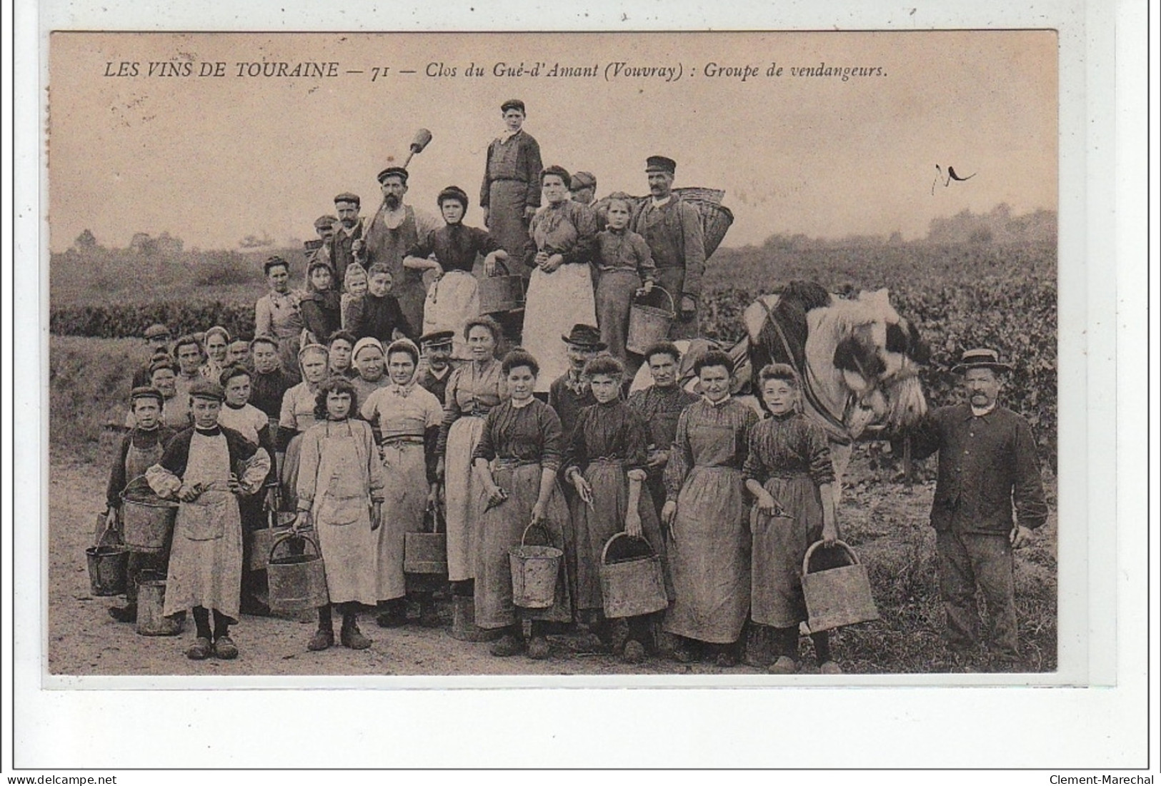 VOUVRAY - Clos Du Gué D'Amant: Groupe De Vendangeurs - Très Bon état - Vouvray